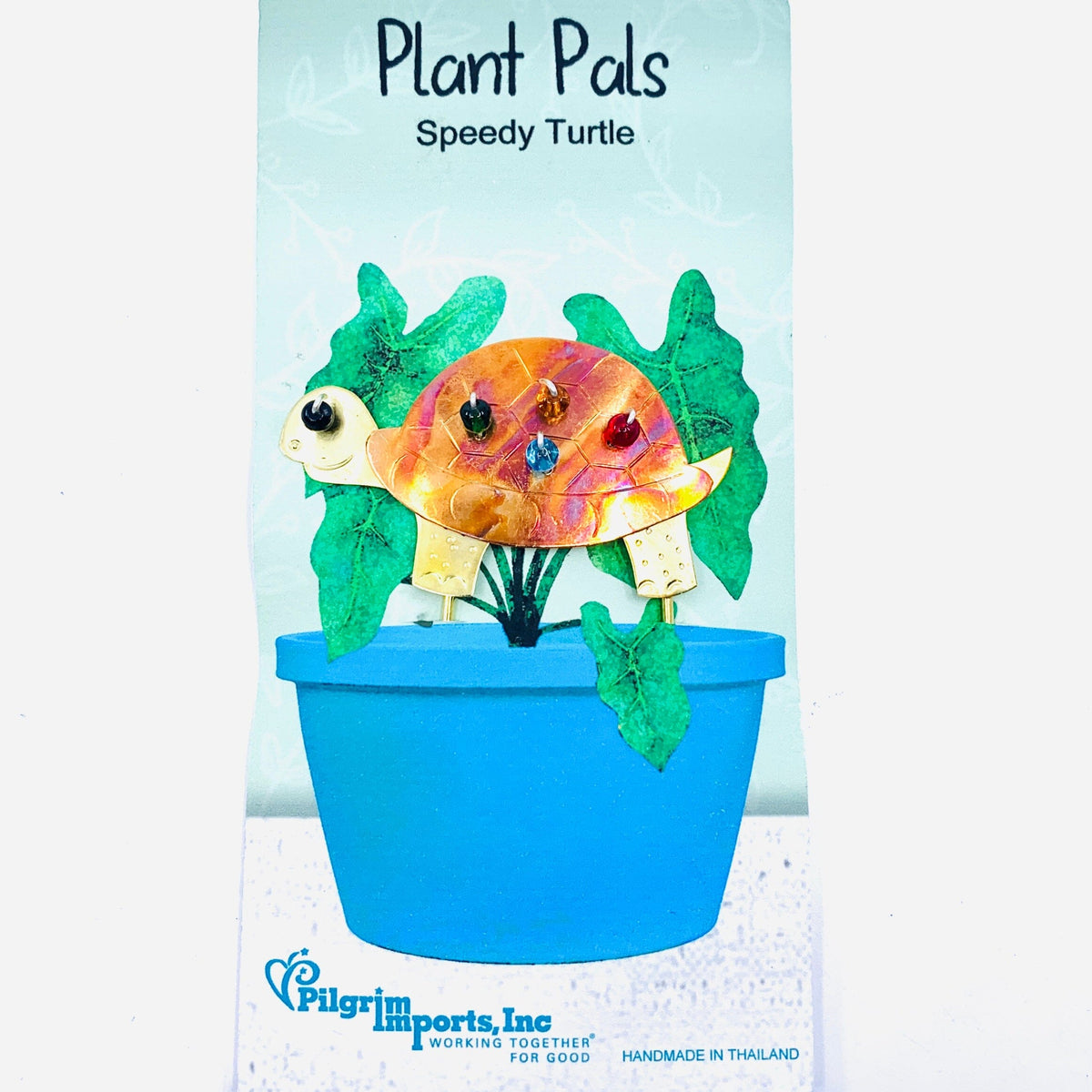 Plant Pals 2, Speedy Turtle Miniature Pilgrim Imports 