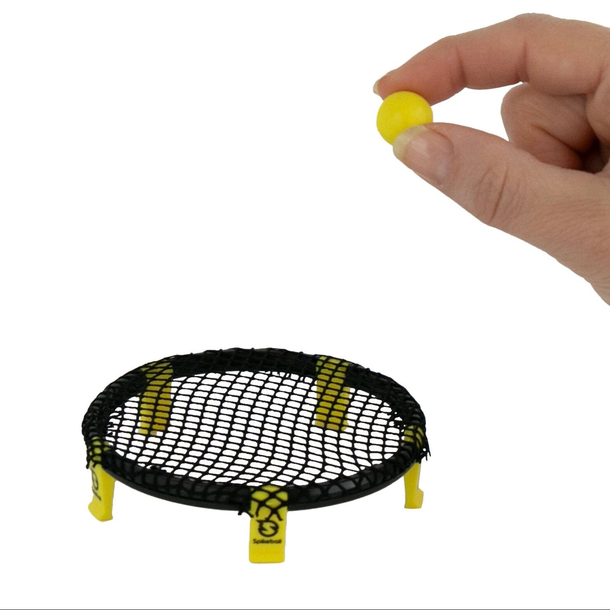 World's Smallest Spikeball