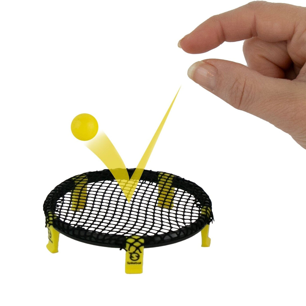 World's Smallest Spikeball