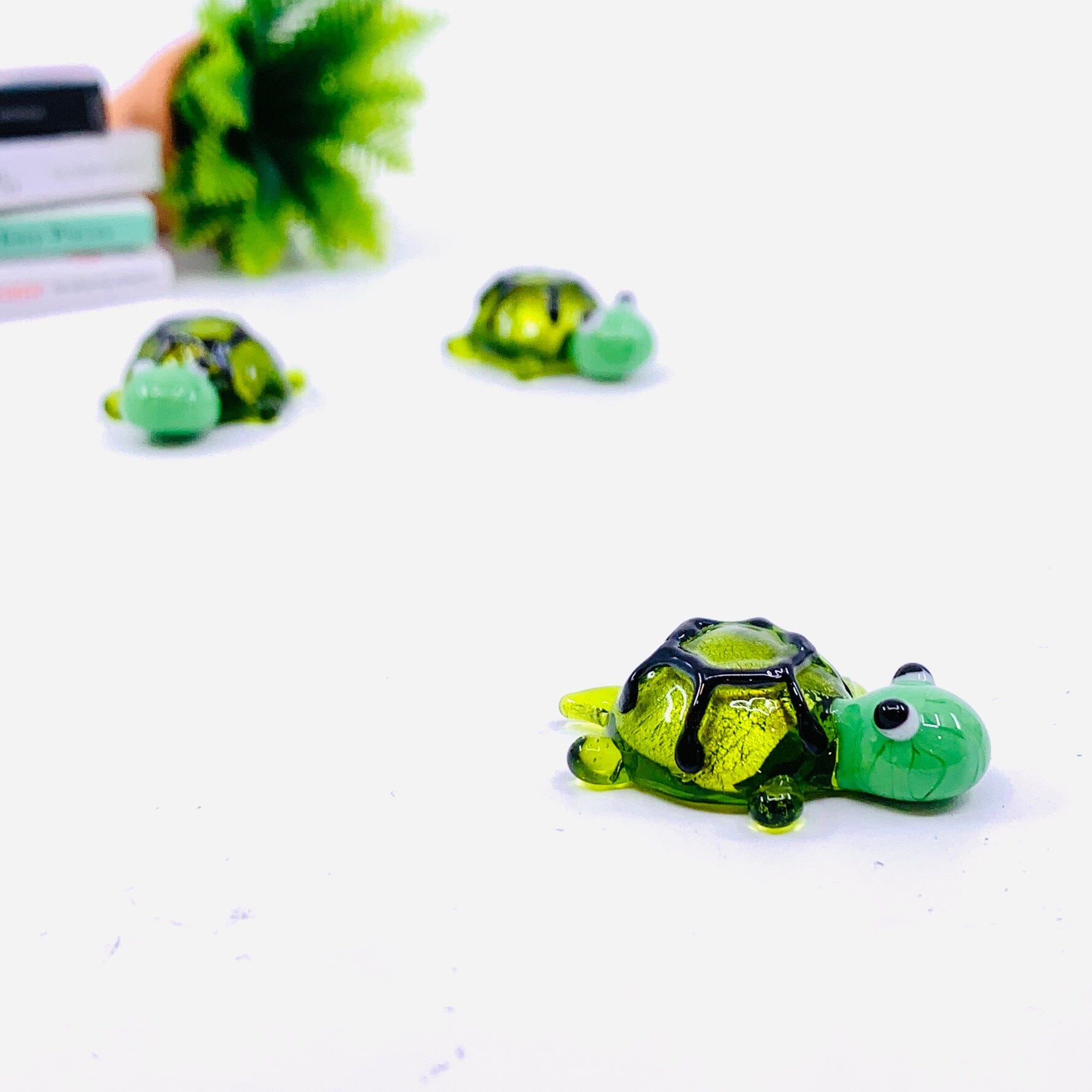 Tiny Glass Turtle, Shelly 4 - 
