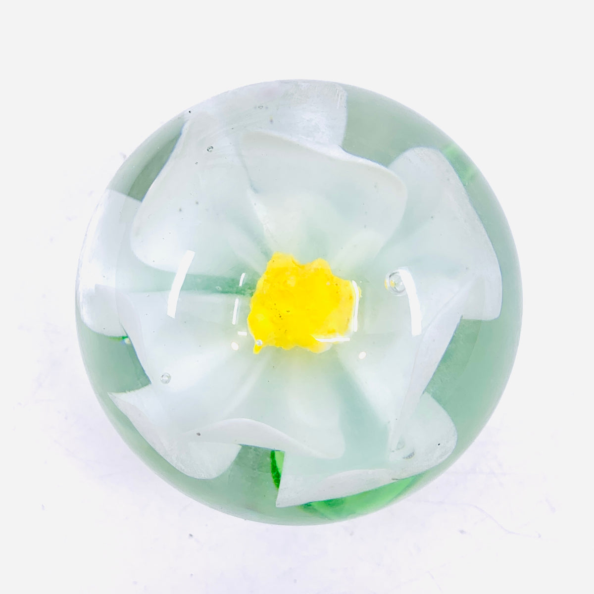 Magnolia Paperweight