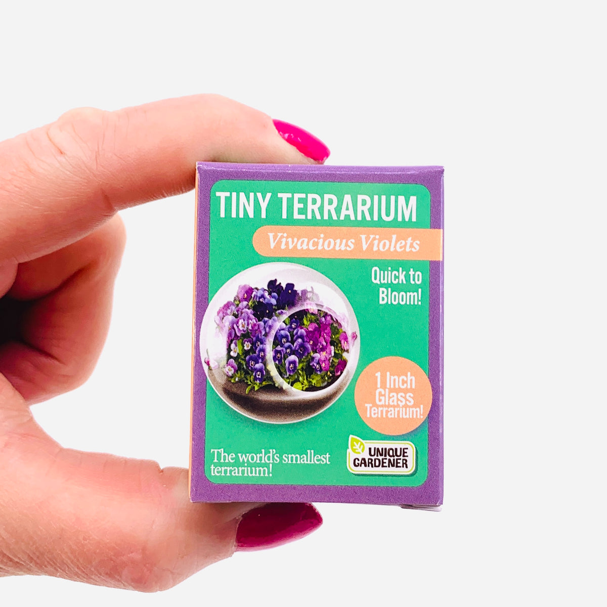 Tiny Terrarium, Vivacious Violets