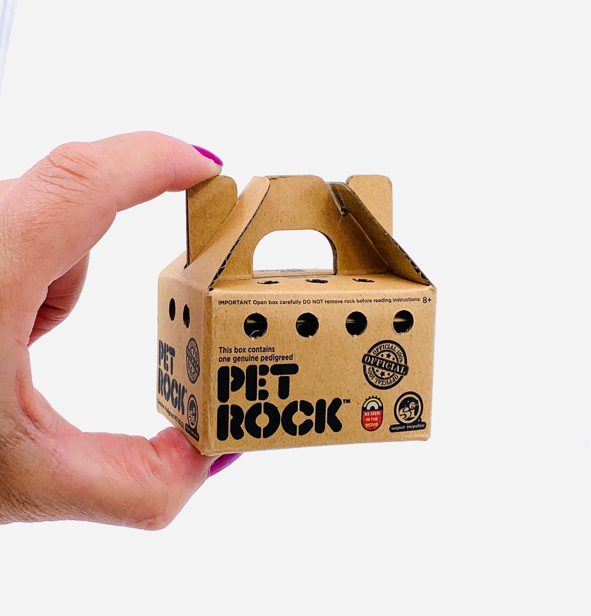 World's Smallest Pet Rock Super Impulse