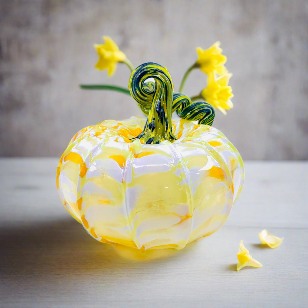 Limited Edition Daffodil Squat
