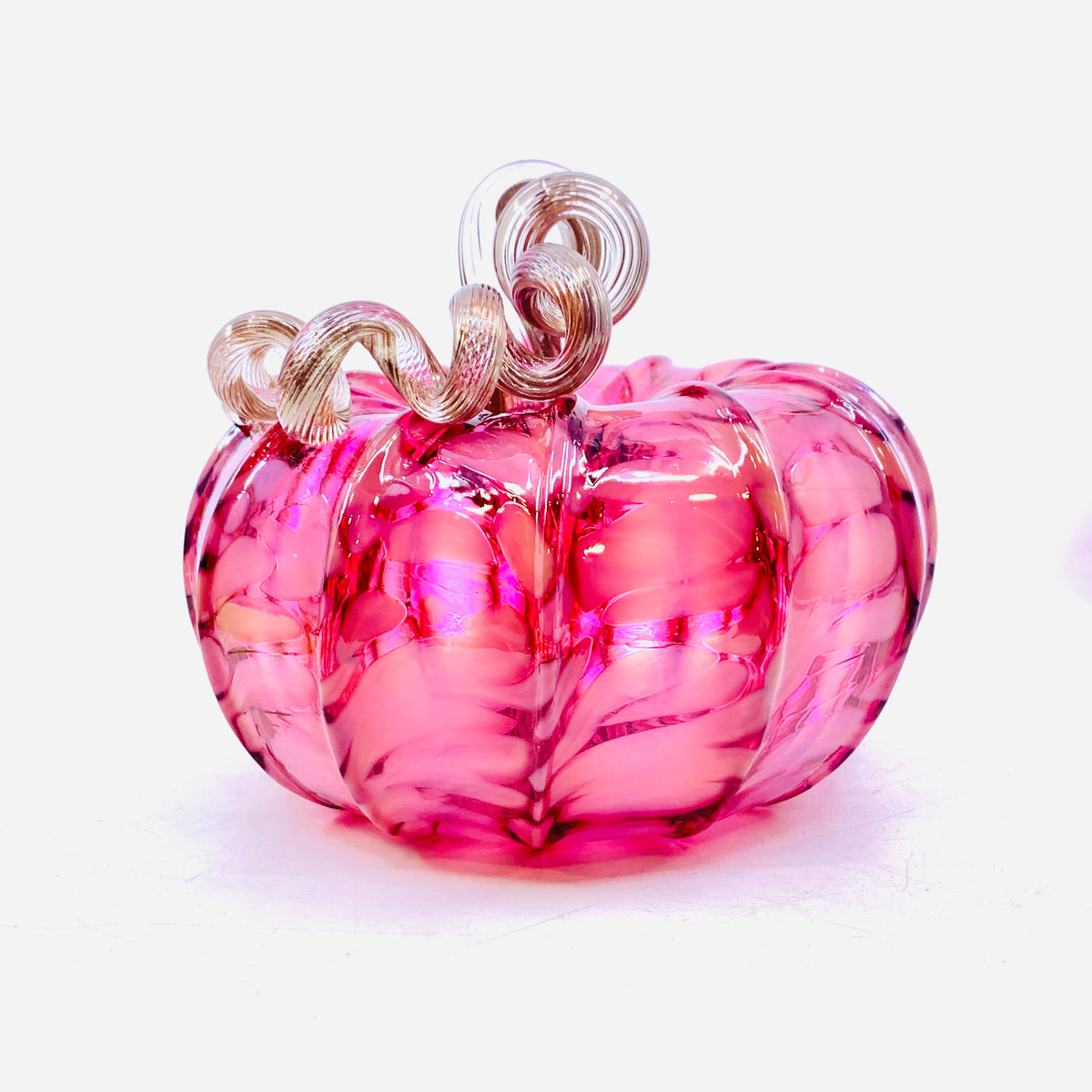 Best Pumpkin of The Day 1547 Pink Jumbo Squat