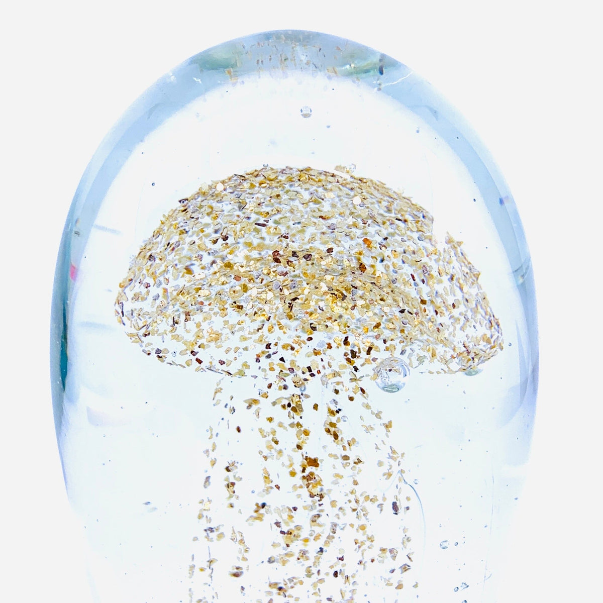 Dome Jellyfish Paperweight 13, Gold Splendor Decor Chesapeake Bay 