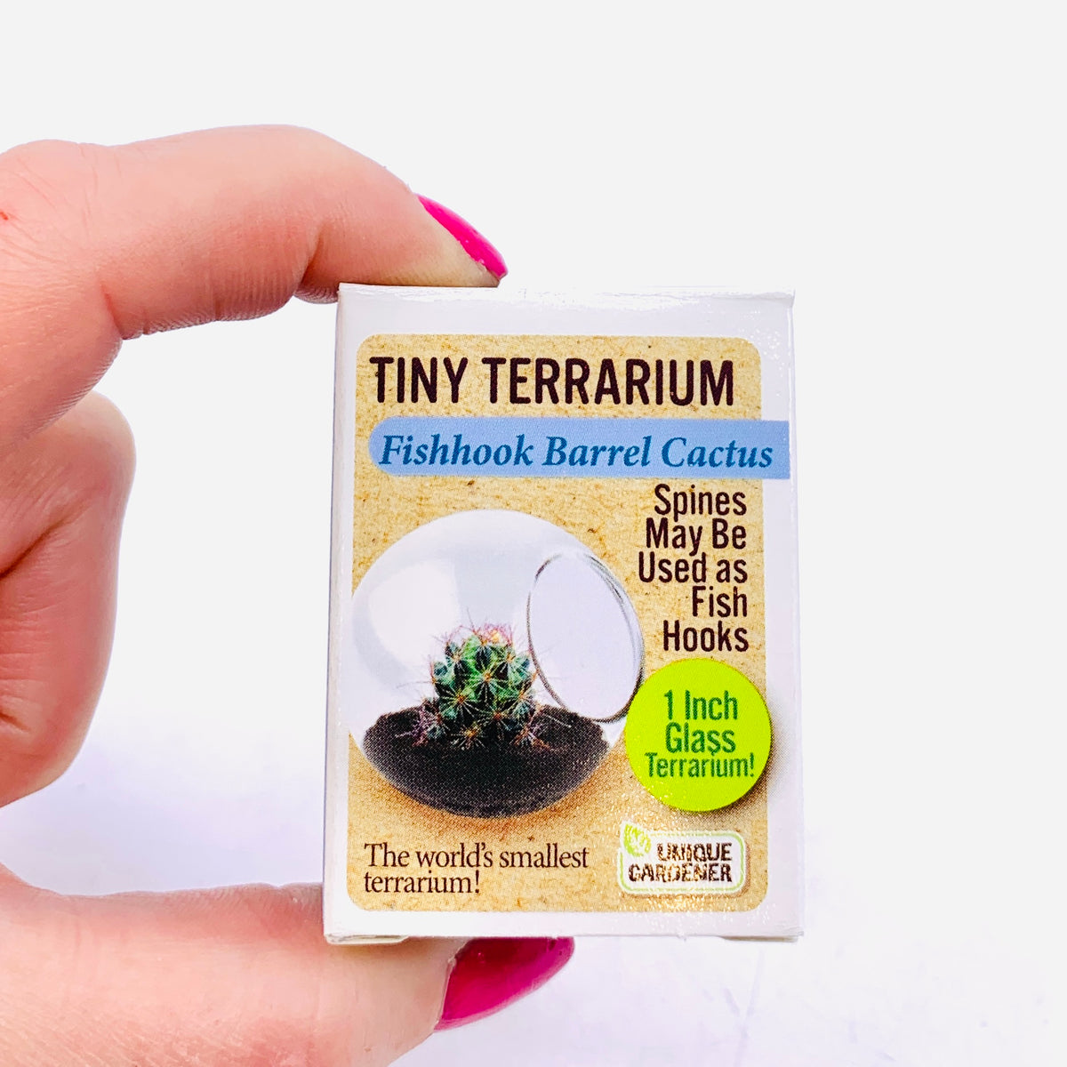 Tiny Terrarium, Fishhook Barrel Cactus