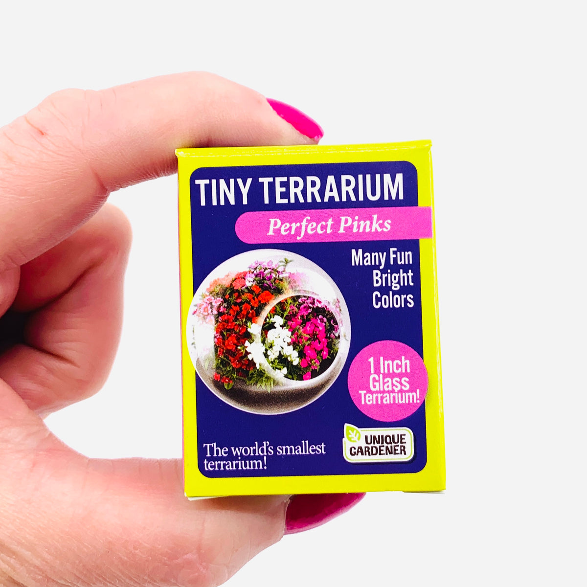 Tiny Terrarium, Perfect Pinks