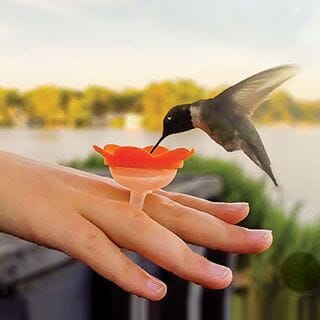 Ring Feeder Hummingbird Rings Amazon Uncommon Goods Hummingbird