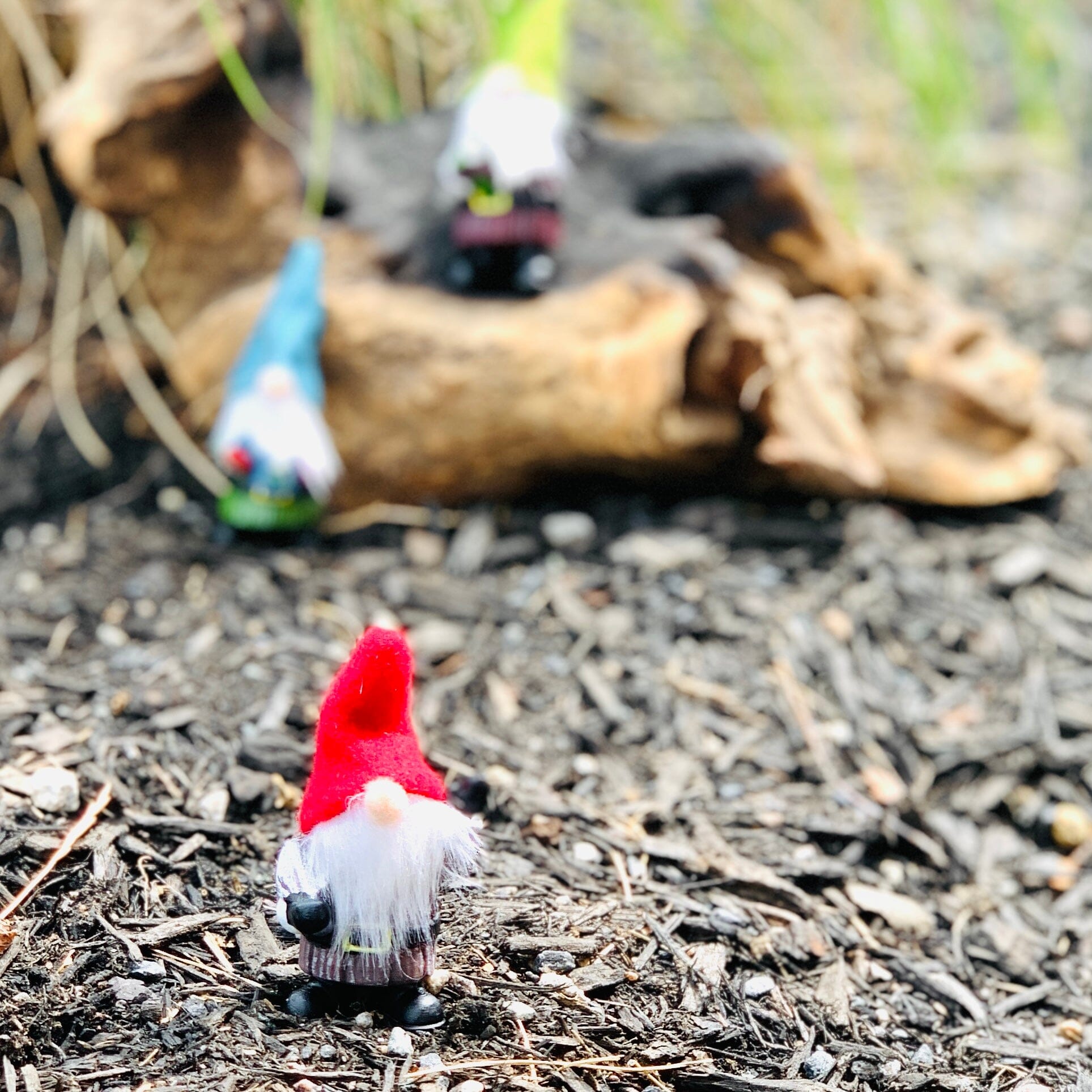 Little Magical Garden Gnome, Turquoise Hat Miniature GANZ 