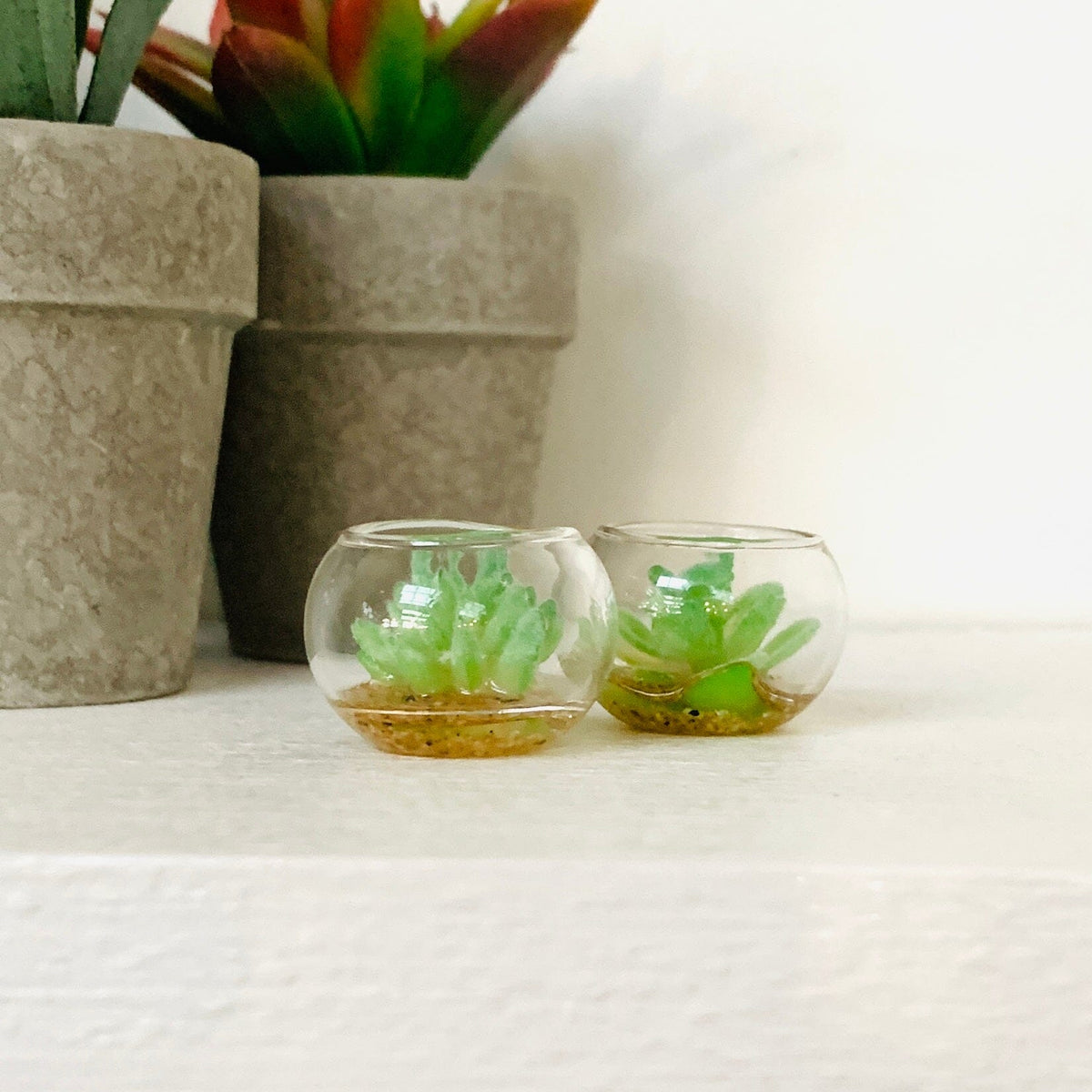 Tiny Succulent Bowl Miniature - 