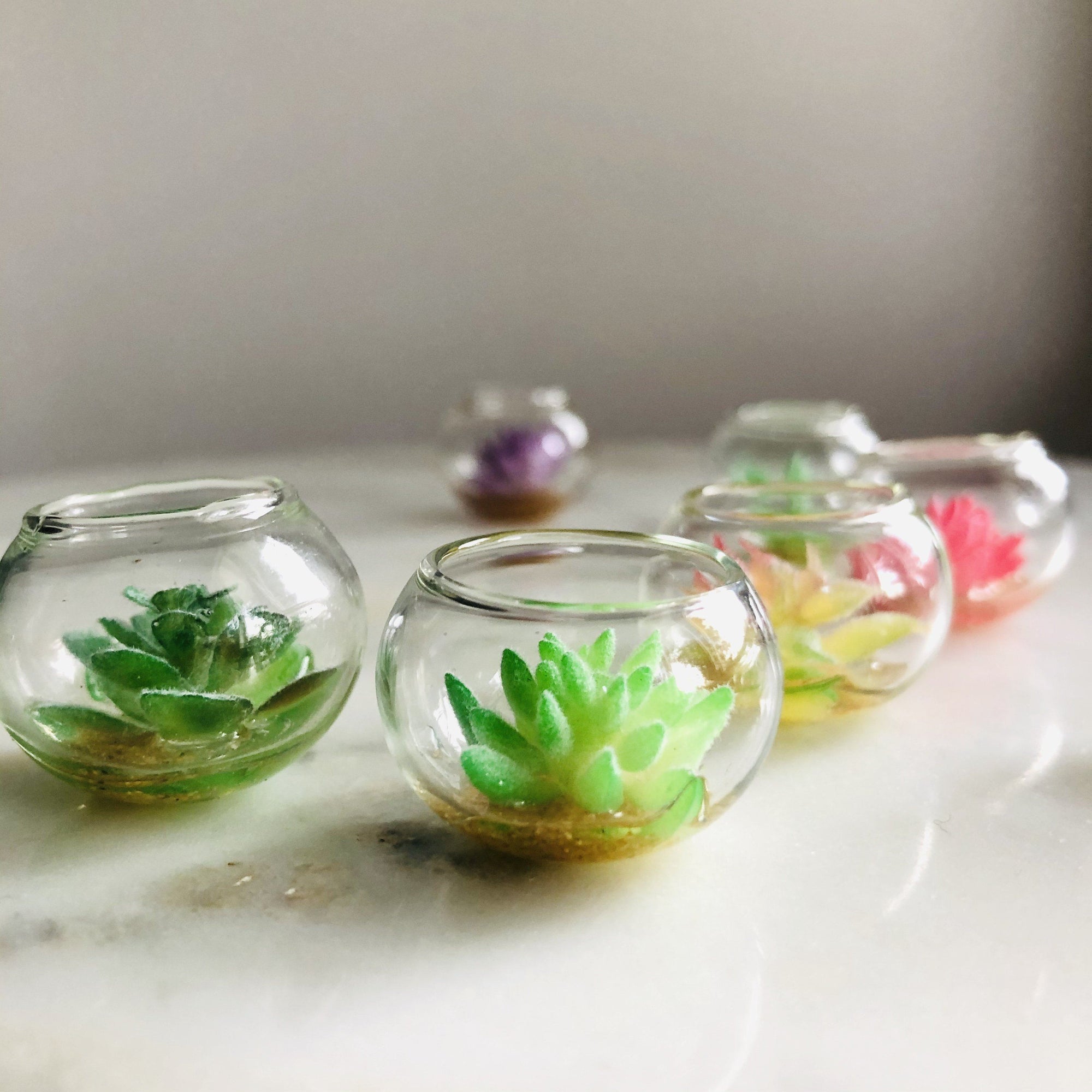 Tiny Succulent Bowl Miniature Luke Adams Glass Blowing Studio 