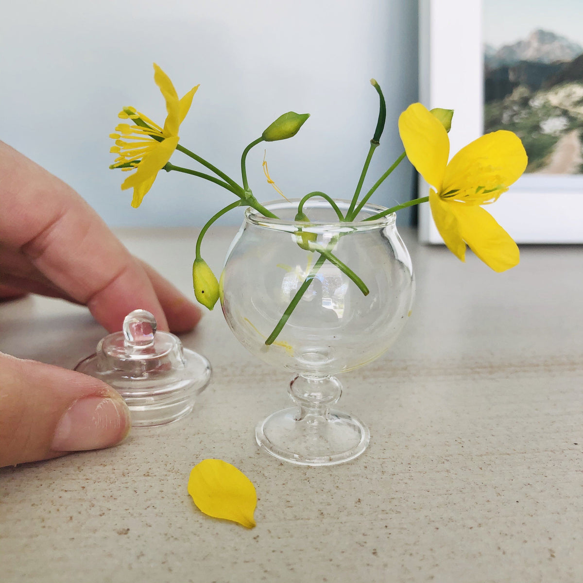 Tiny Glass Apothecary Jar Luke Adams Glass Blowing Studio 