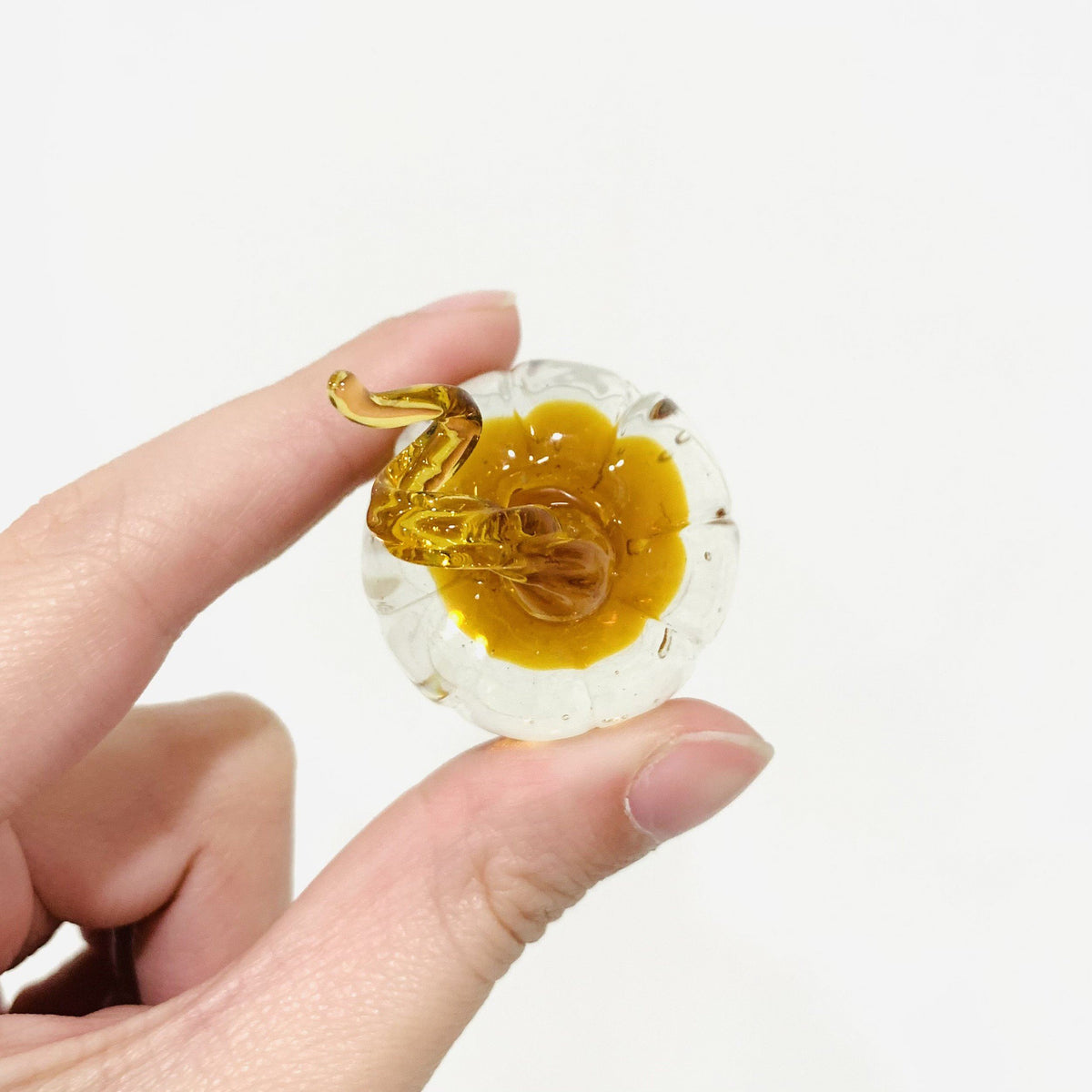 Little Curly Pumpkin, Amber Miniature - 