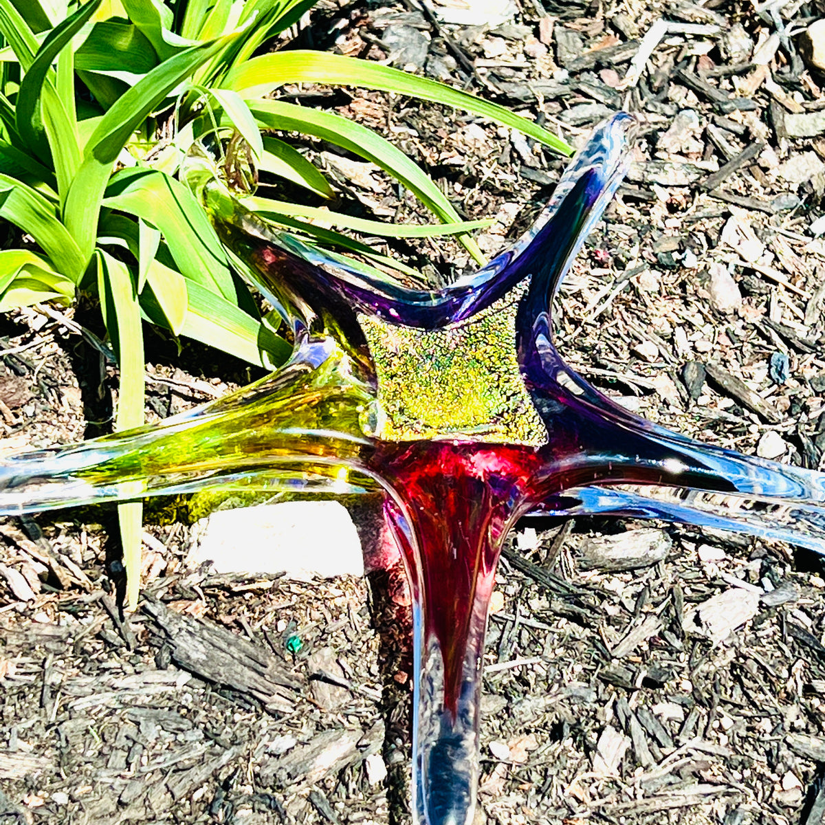 Star Ornament, Bloom Suncatcher Luke Adams Glass Blowing Studio 
