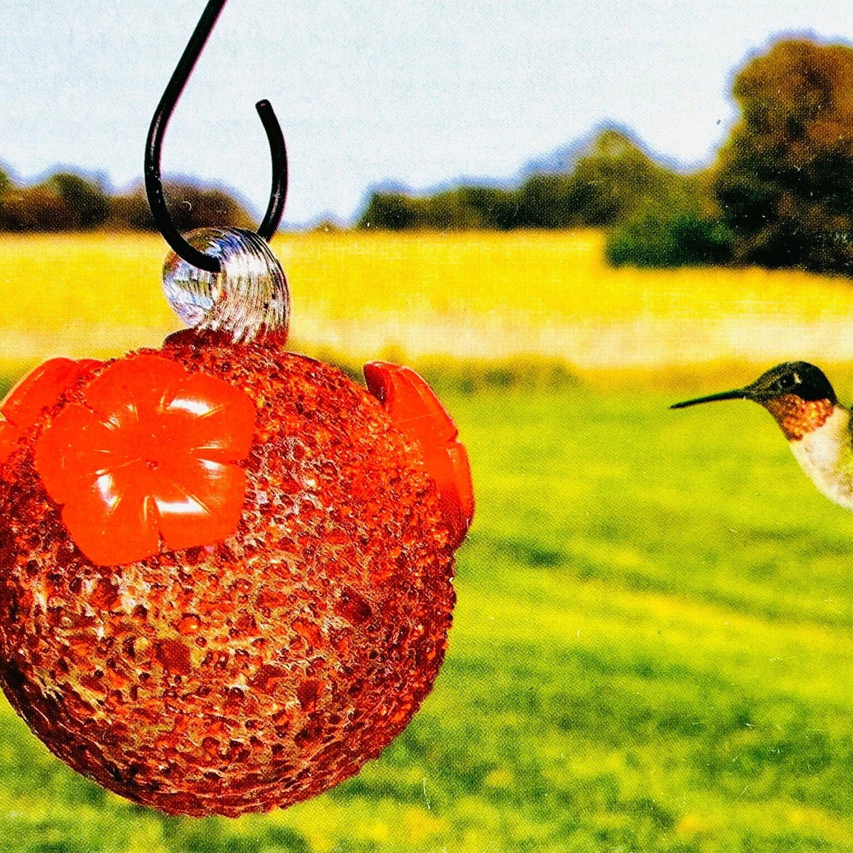 Glass Hummingbird Feeder, Red (E) Decor Gift Essentials 