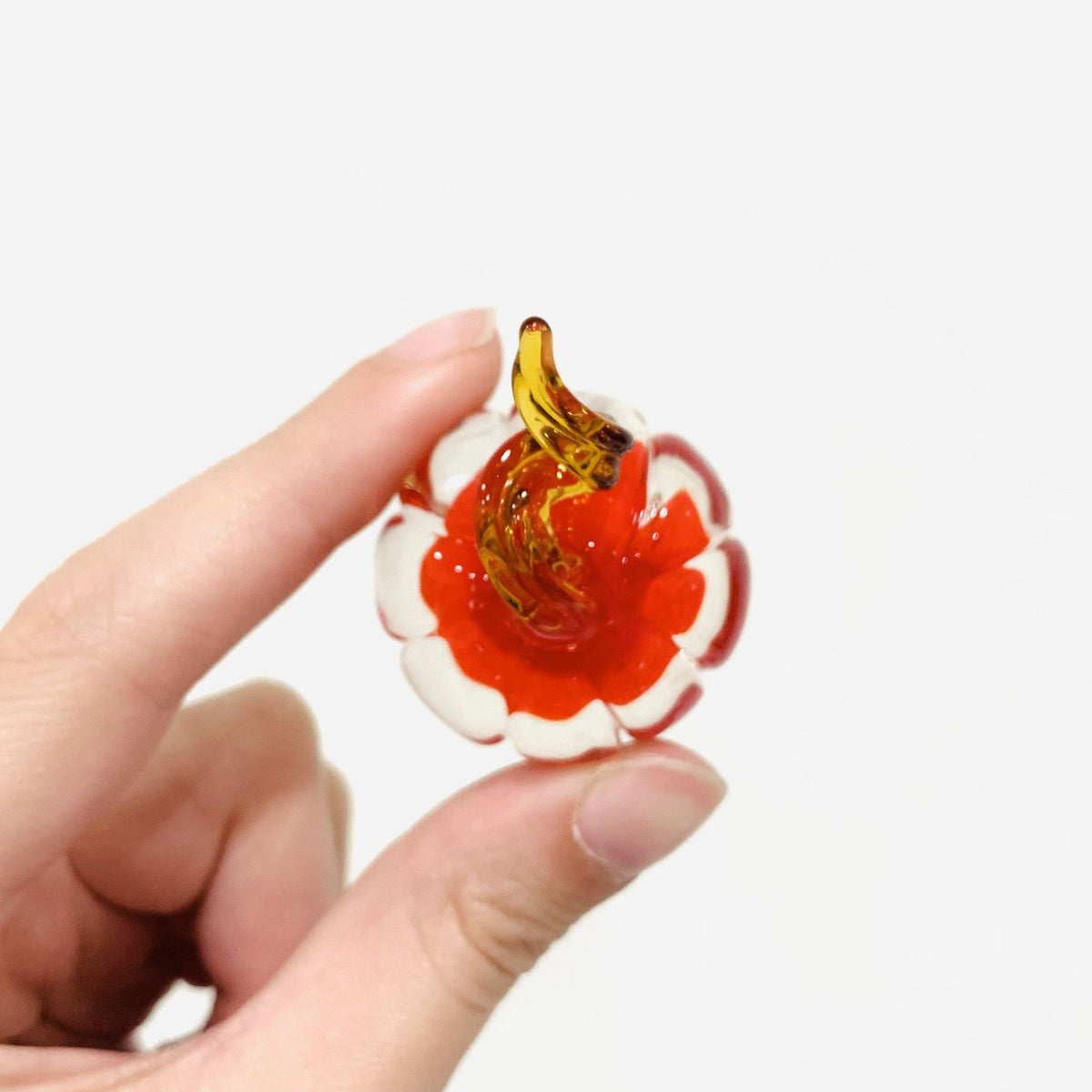 Little Curly Pumpkin, Red Miniature - 