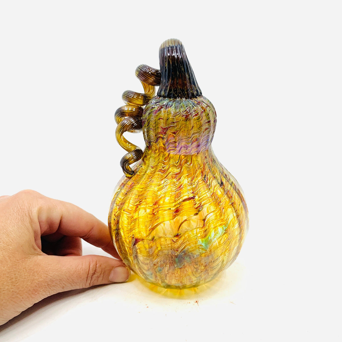Daily Pumpkin 609 Gourd Daily Pumpkin James Bilodeau 