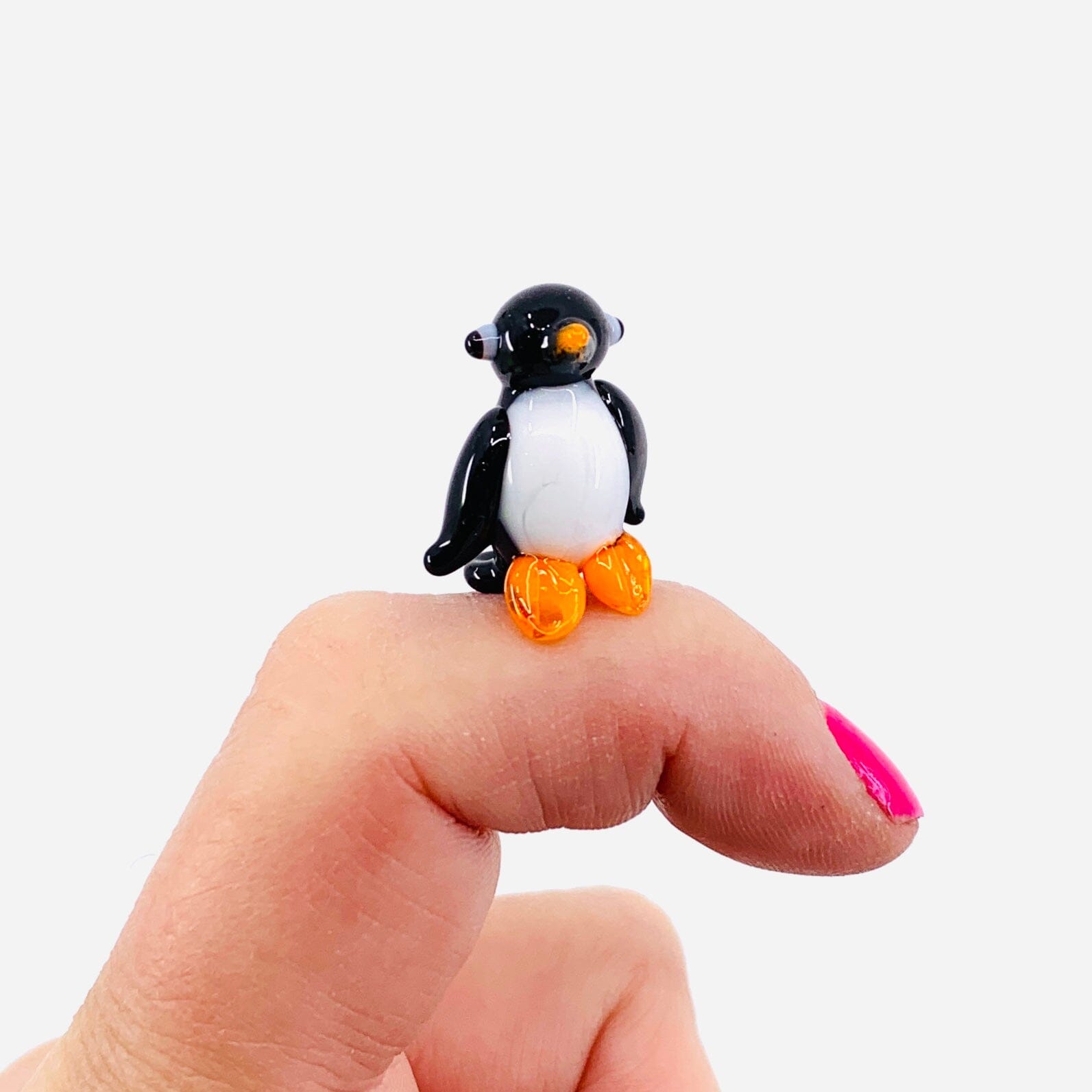 Teeny Teensie Penguin JACO 