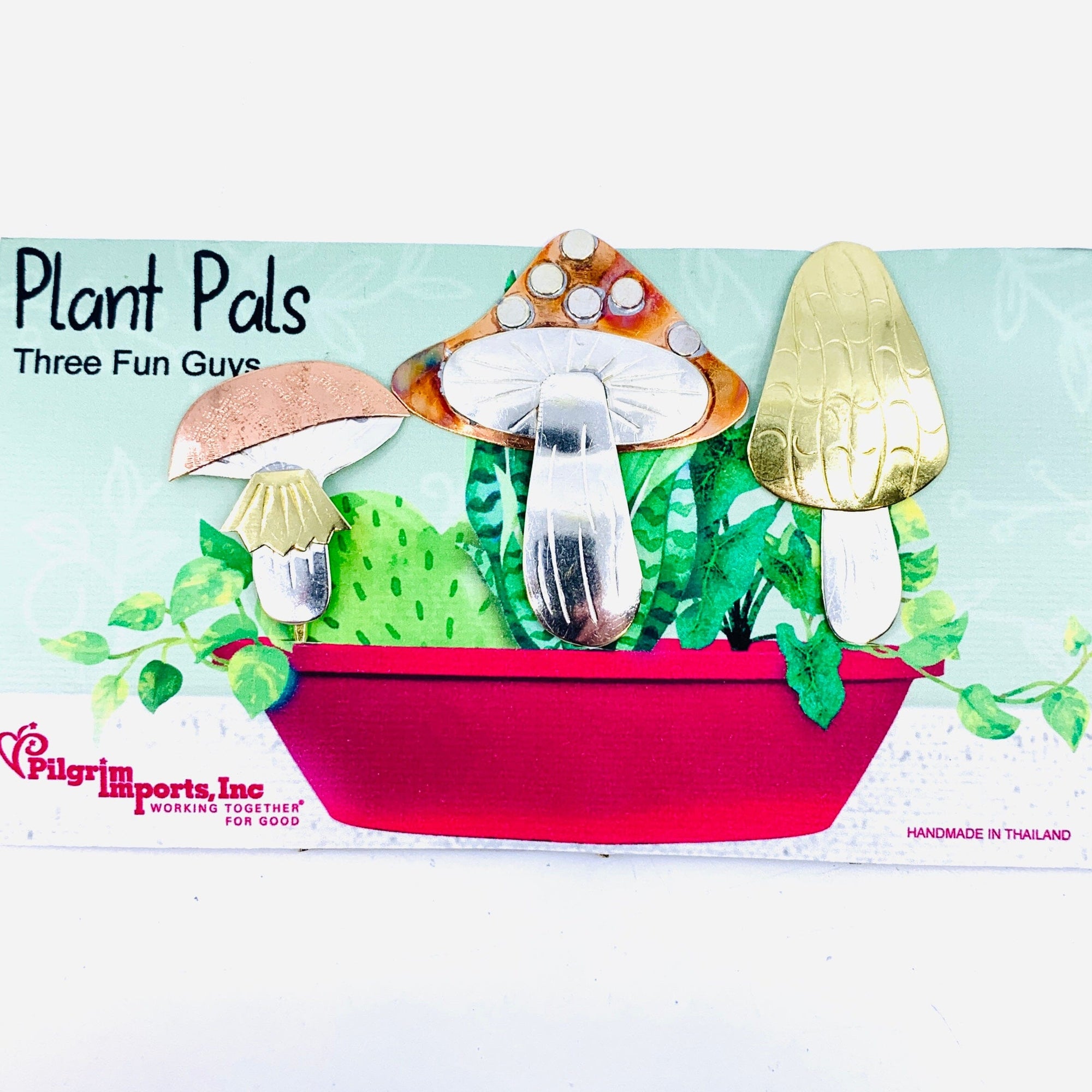 Plant Pals 4, Three Fun Guys Miniature Pilgrim Imports 
