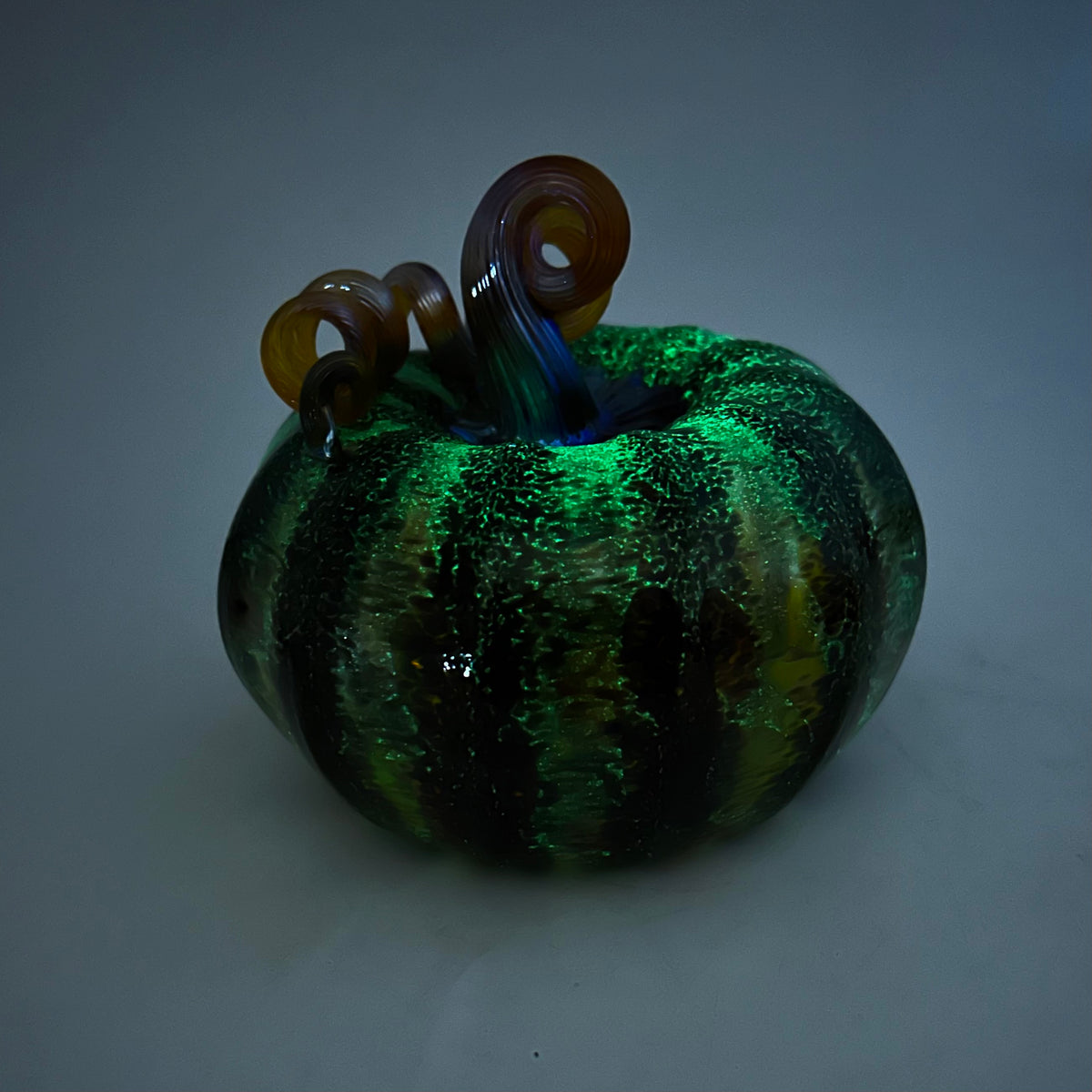 Daily Glow Pumpkin 877 Squat