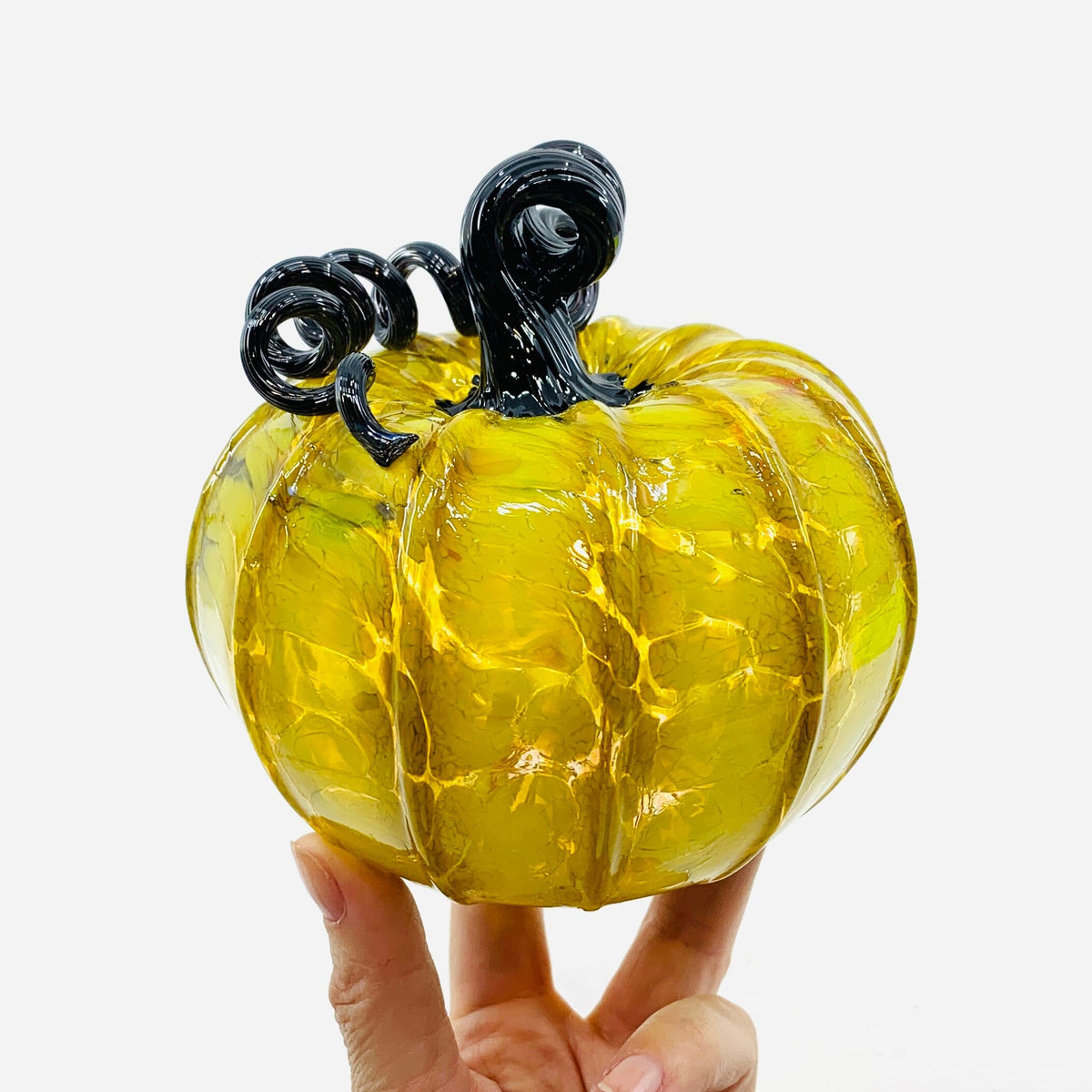 Daily Pumpkin 1271 Squat Daily Pumpkin Luke Adams Glass Blowing Studio 