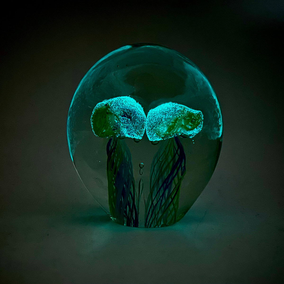Twin Jellyfish Glow in the Dark Paperweight 10 Decor Chesapeake Bay 