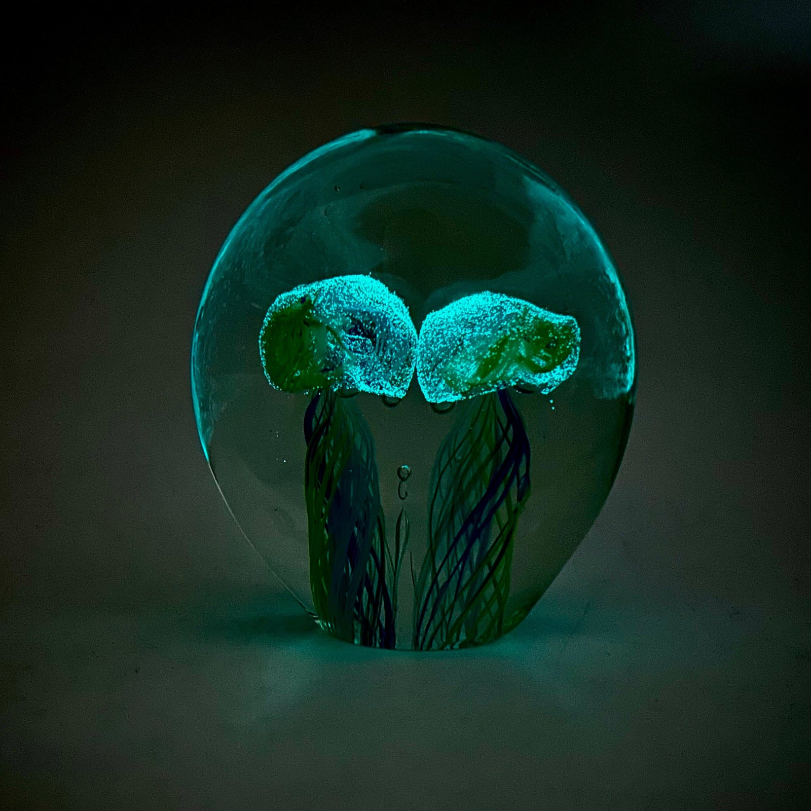 Twin Jellyfish Glow in the Dark Paperweight 10 Decor Chesapeake Bay 