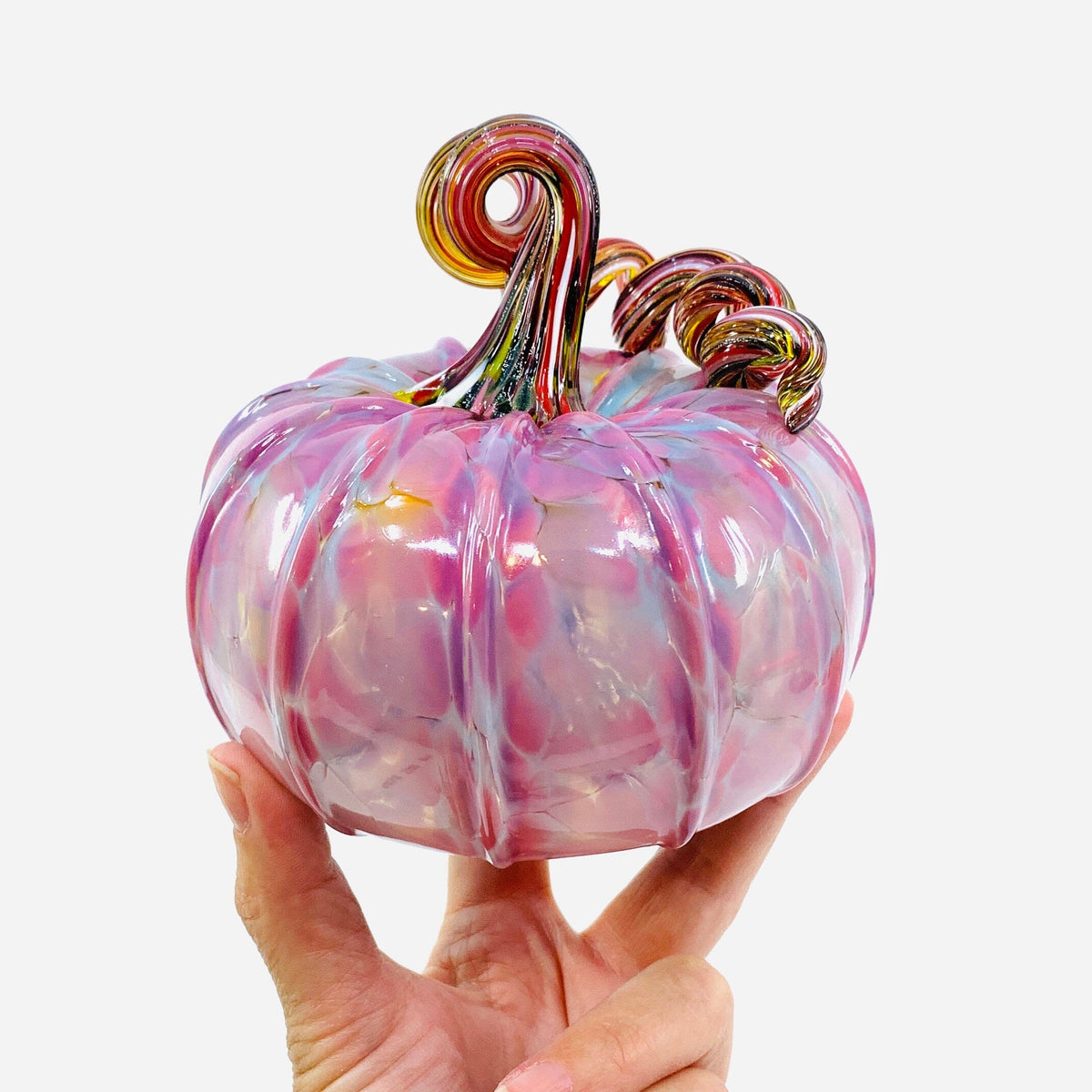 Daily Pumpkin 2584 Squat