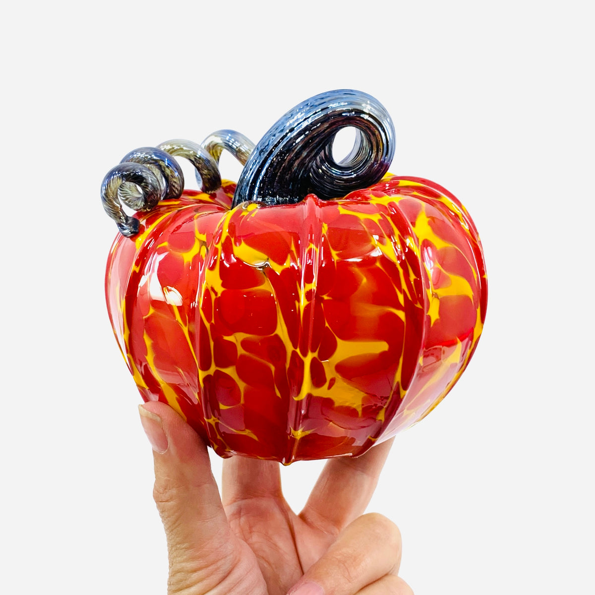 Daily Pumpkin 3133 Fall Squat