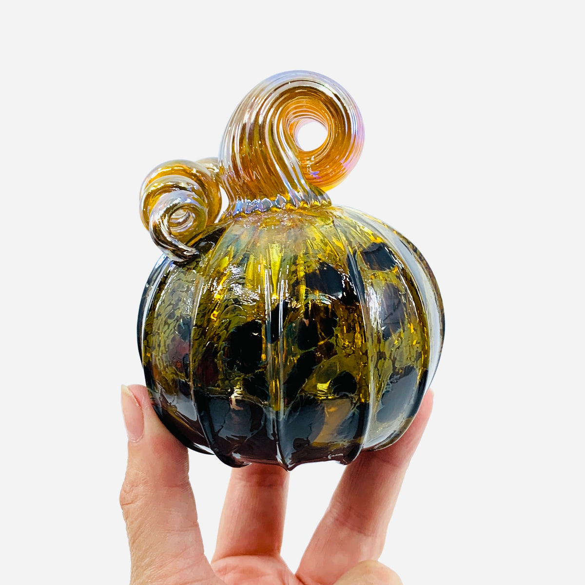 Daily Pumpkin 3260 Fall Mini