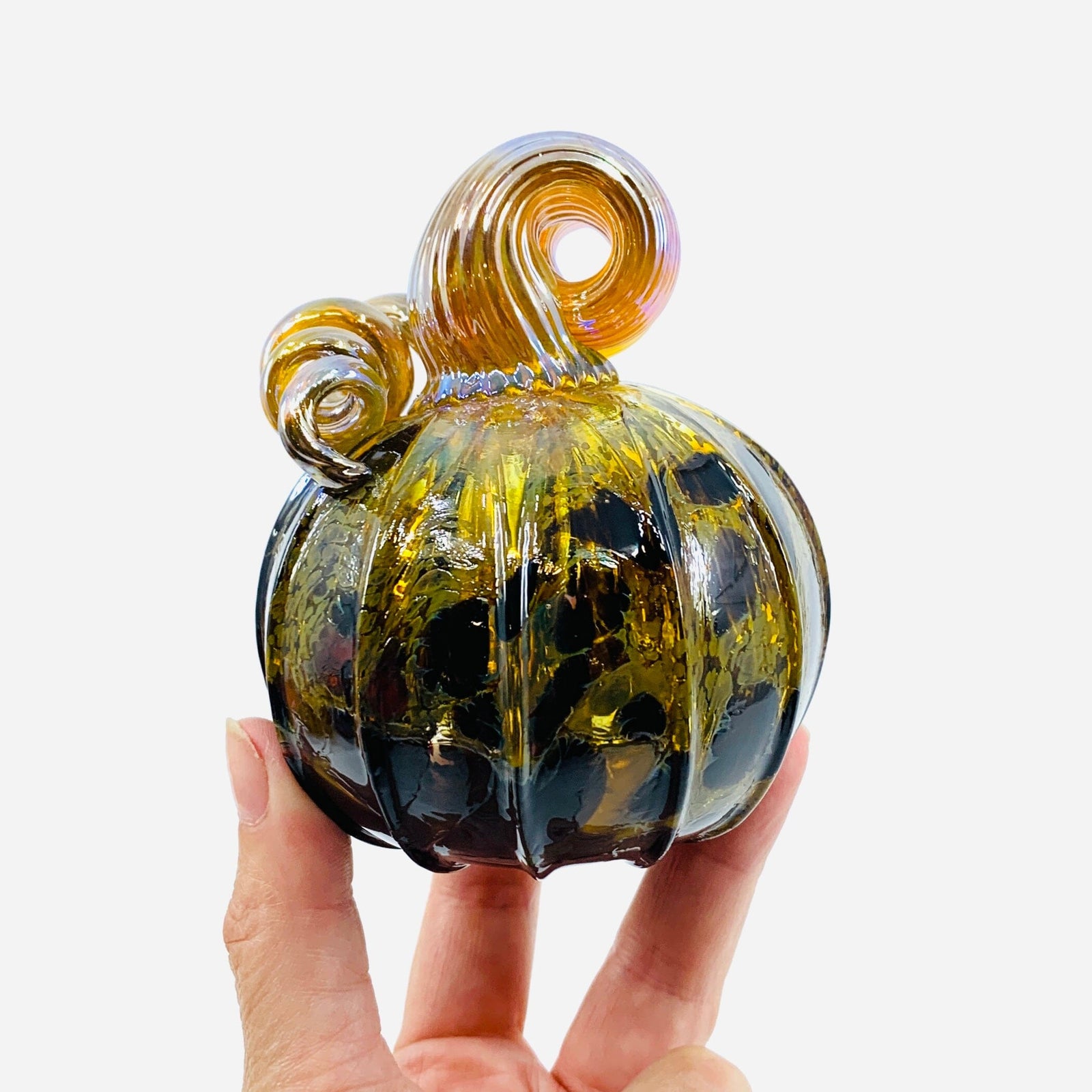 Daily Pumpkin 3260 Fall Mini Gabby Luke Adams Glass Blowing Studio 