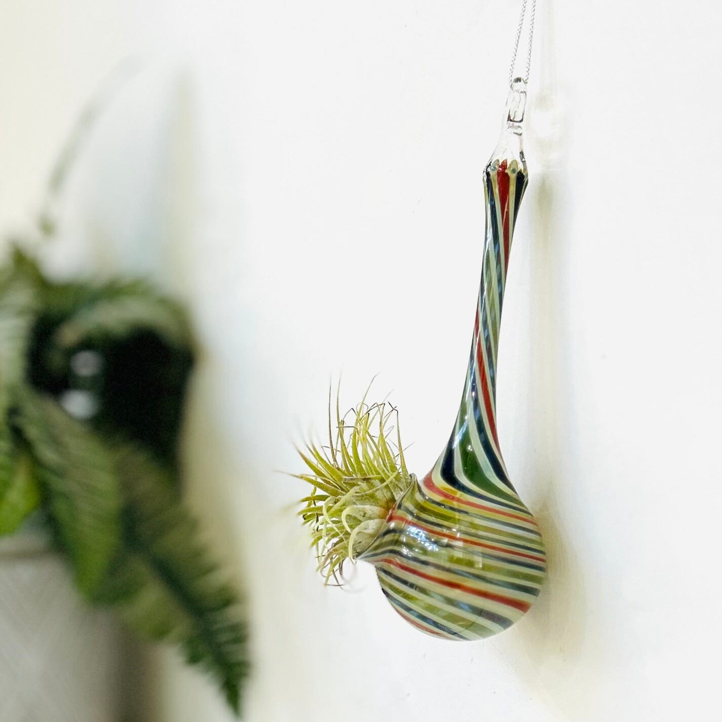 Air Plant Hanging Drop Vase 32 Decor Probstein Studios 