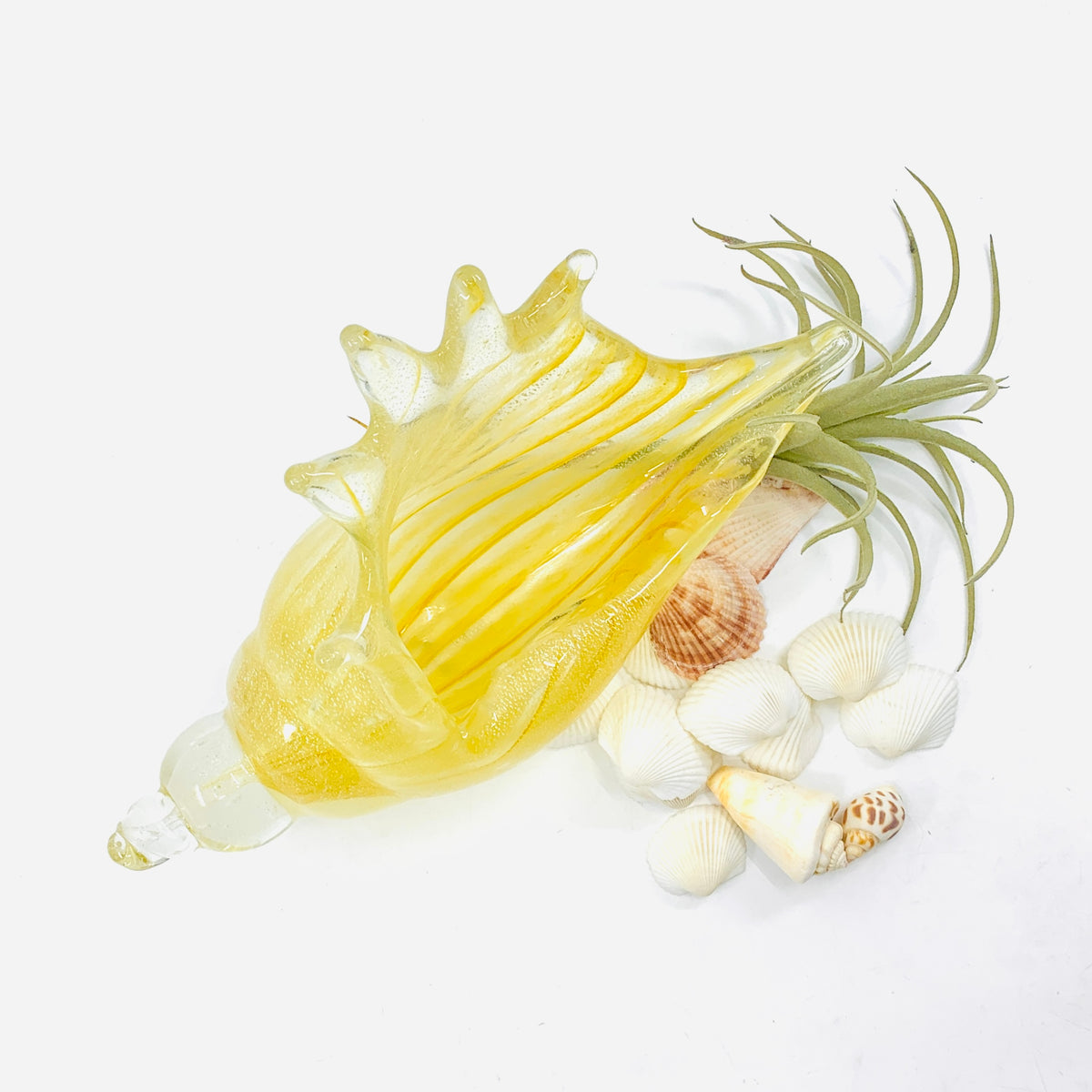 Natural Glass Conch Shell