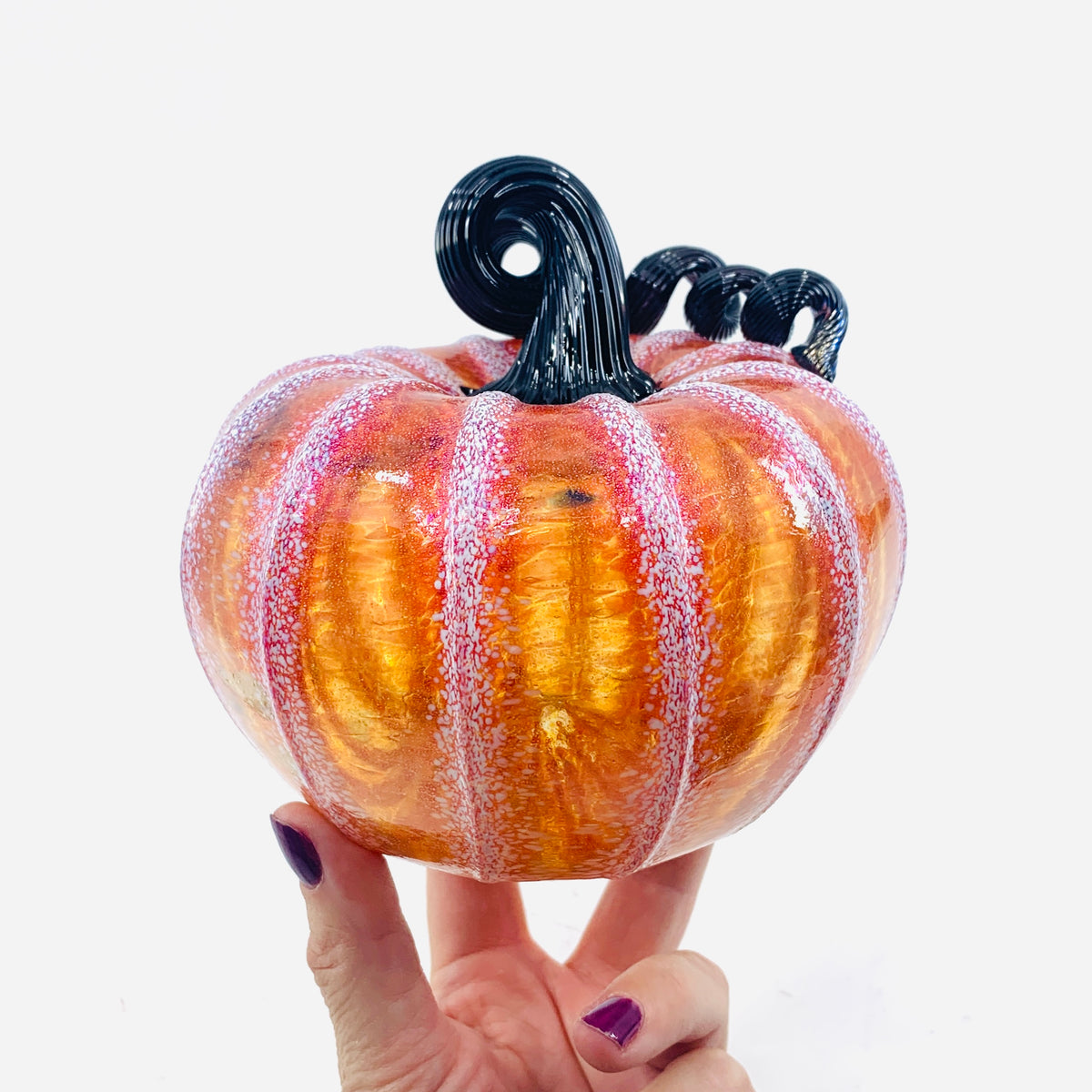 Daily Pumpkin 899 Squat