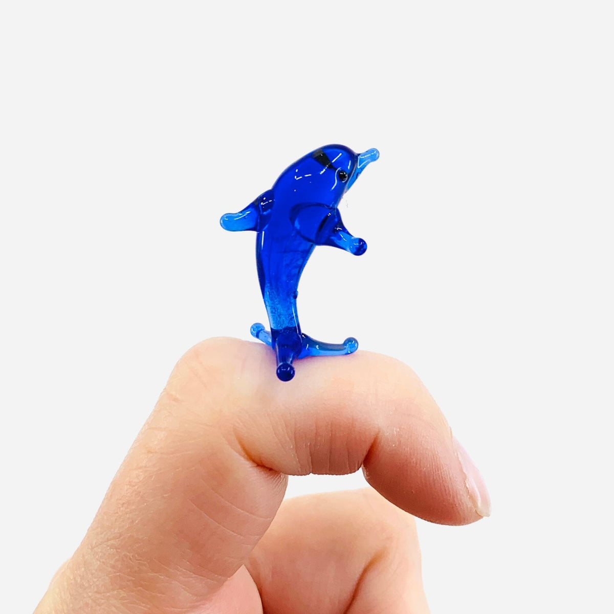 Teeny Teensie Blue Dolphin 39 JACO 