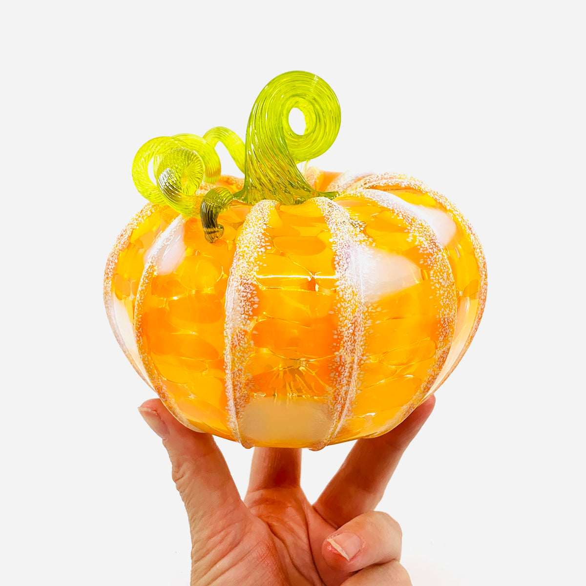 Daily Pumpkin 3662 Fall Jumbo Squat