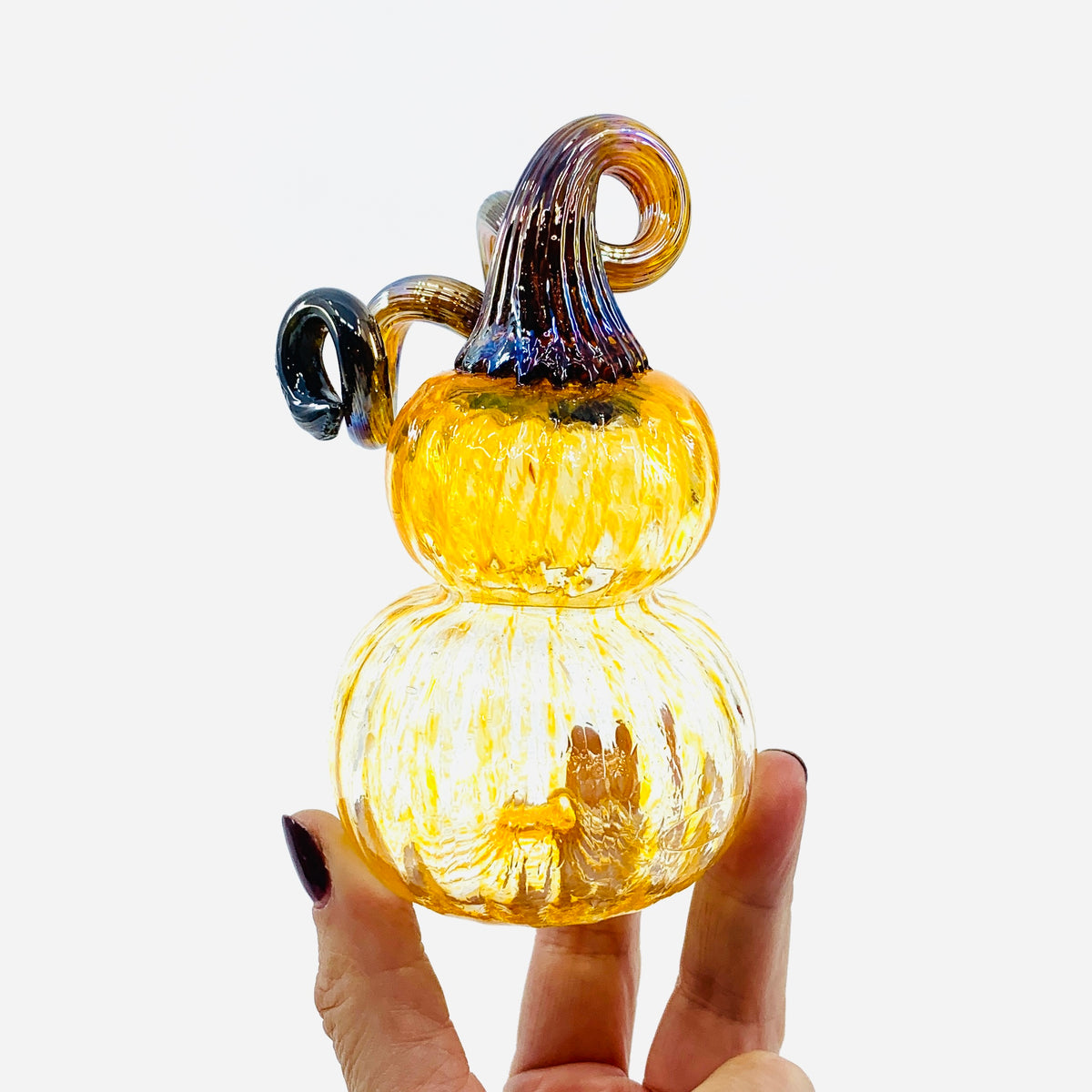 Daily Pumpkin 105 Mini Gourd