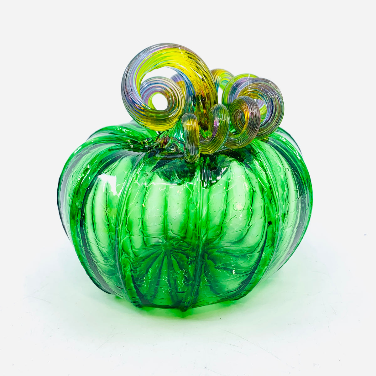 Daily Pumpkin 1107 Rainbow Stem Squat