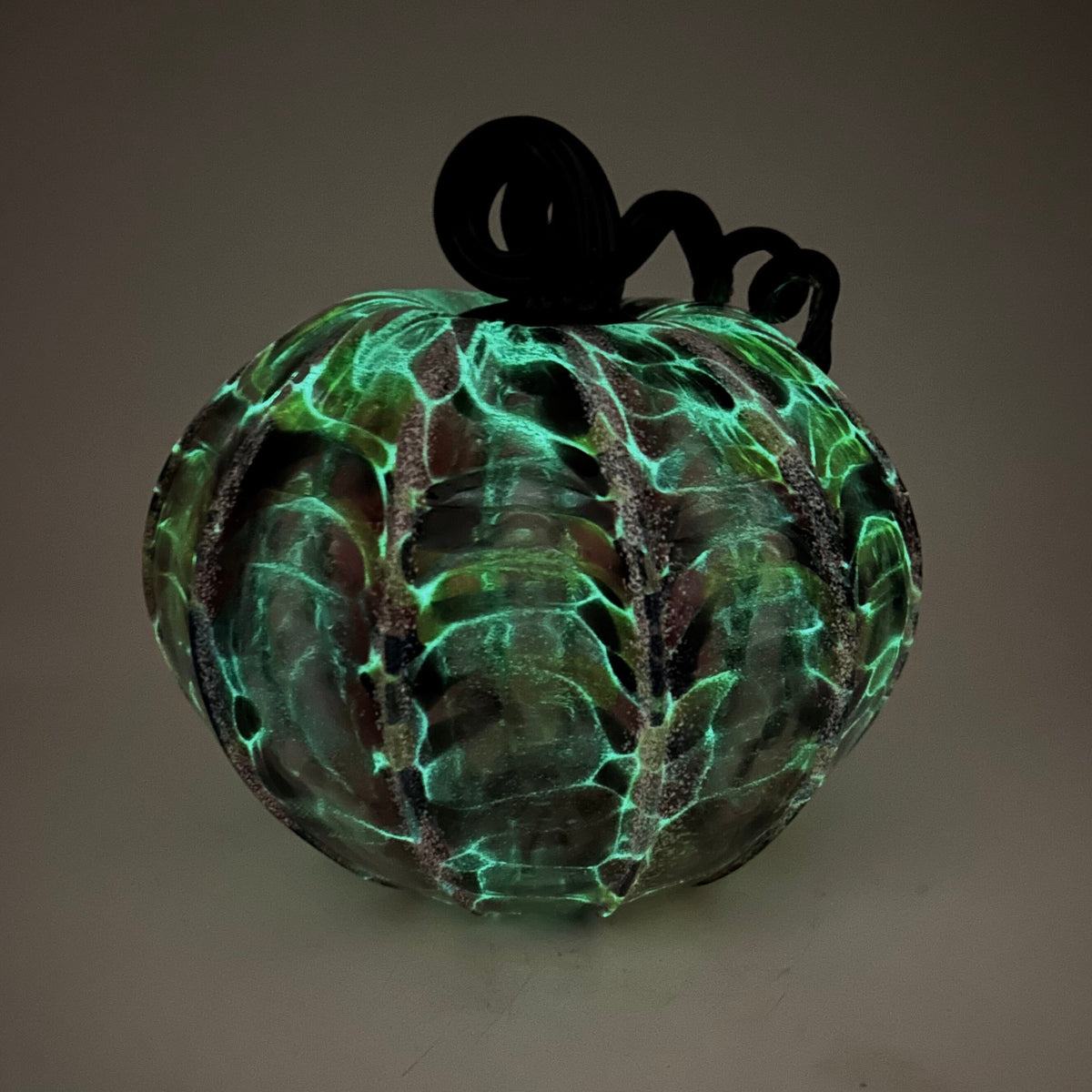Ghost Dahlia - Glow Black Dahlia w White Frost and Black Stem Production Pumpkin Luke Adams Glass Blowing Studio 