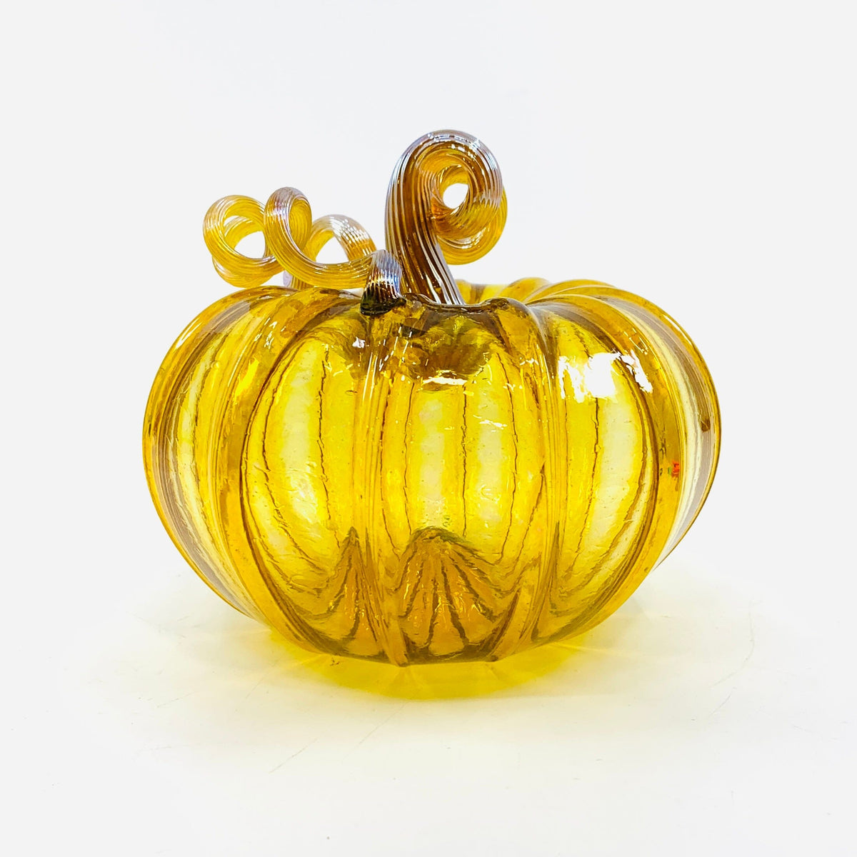 Daily Pumpkin 3567 Fall Squat Gabby Luke Adams Glass Blowing Studio 