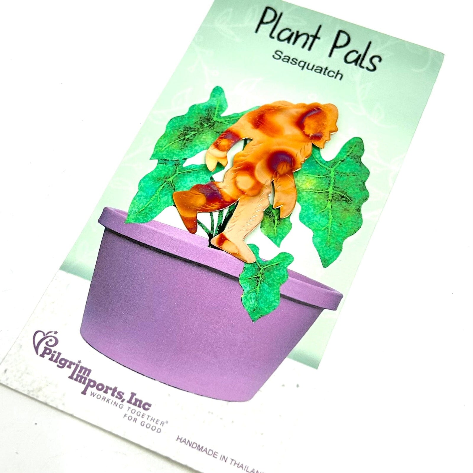 Plant Pals 21, Sasquatch Miniature Pilgrim Imports 