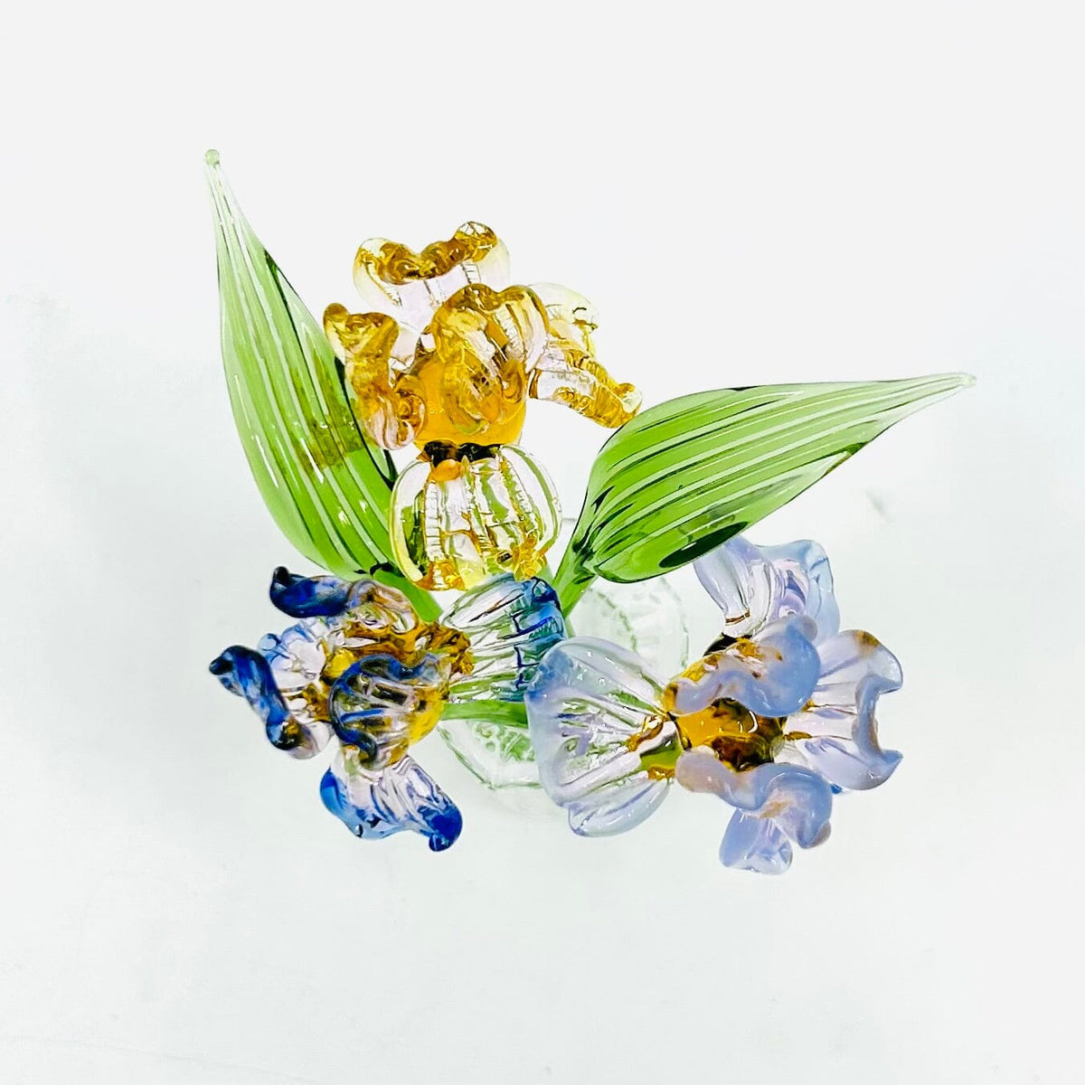 Tiny Iris Build Your Own Bouquet Alex 