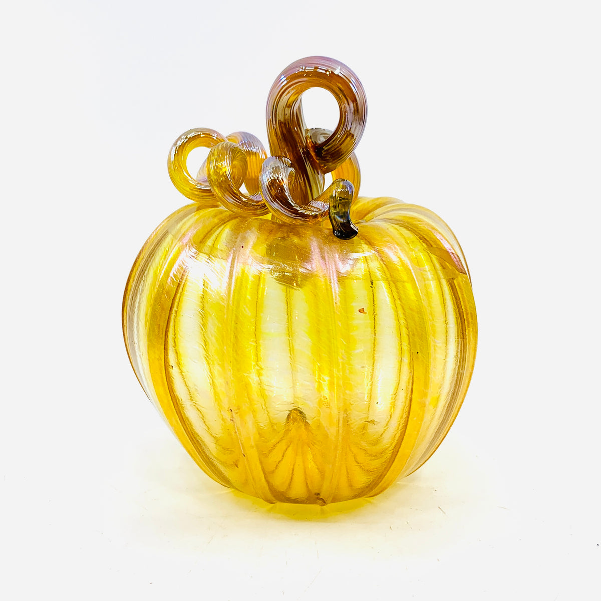 Daily Pumpkin 165 Fall Squat