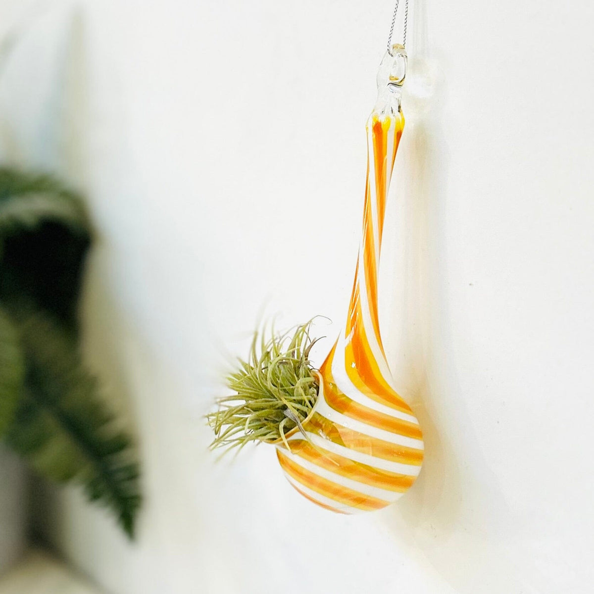 hanging air plant vases Air Plant Hanging Drop Vase 10