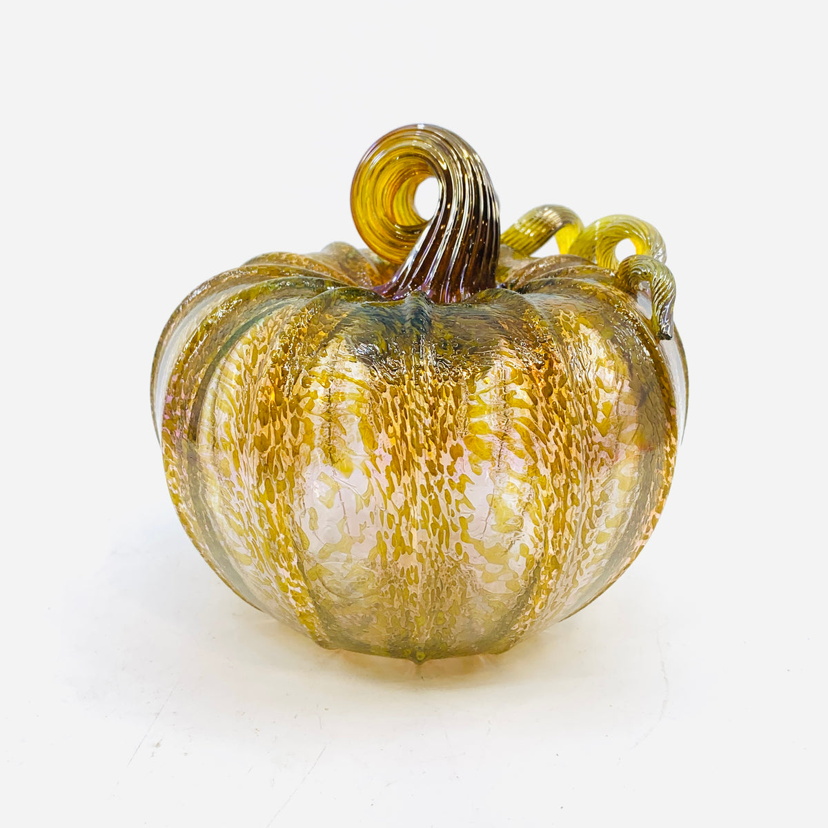 Daily Pumpkin 3156 Fall Squat