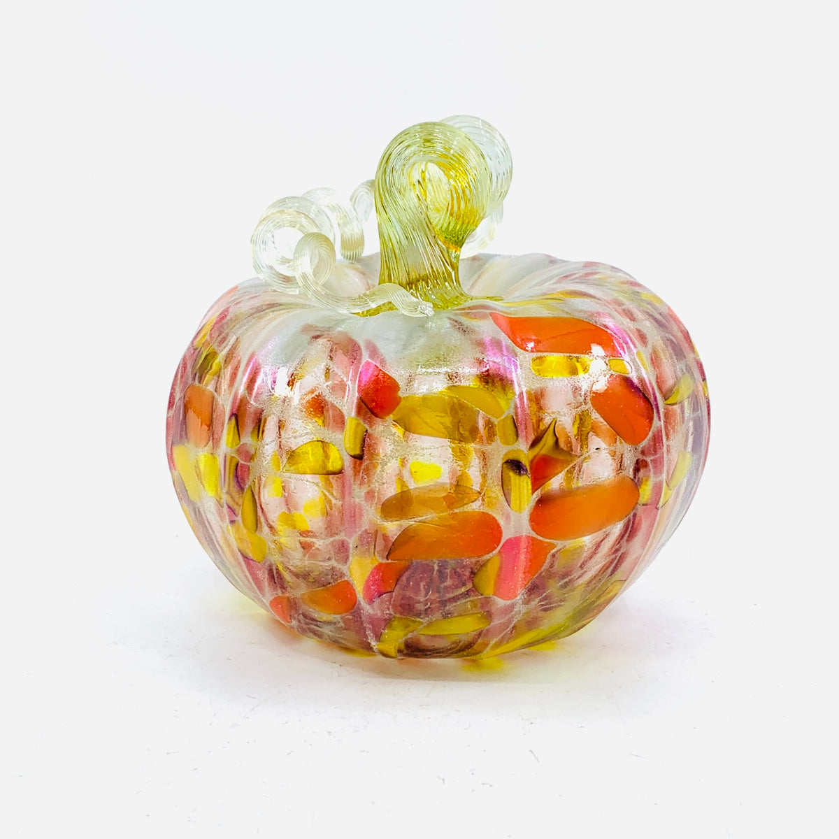 Daily Pumpkin 353 Fall Squat