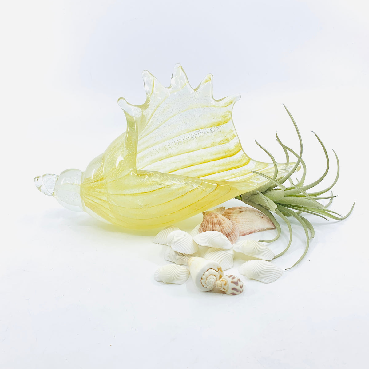 Natural Glass Conch Shell