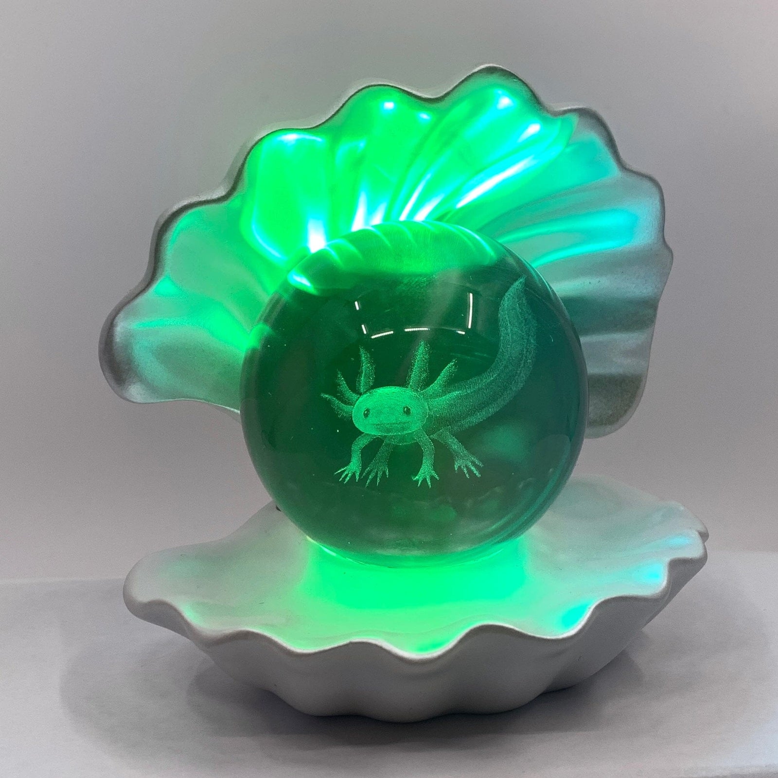Light Up Etched Glass Sea Shell décor - Axolotl 29TONIGHT 