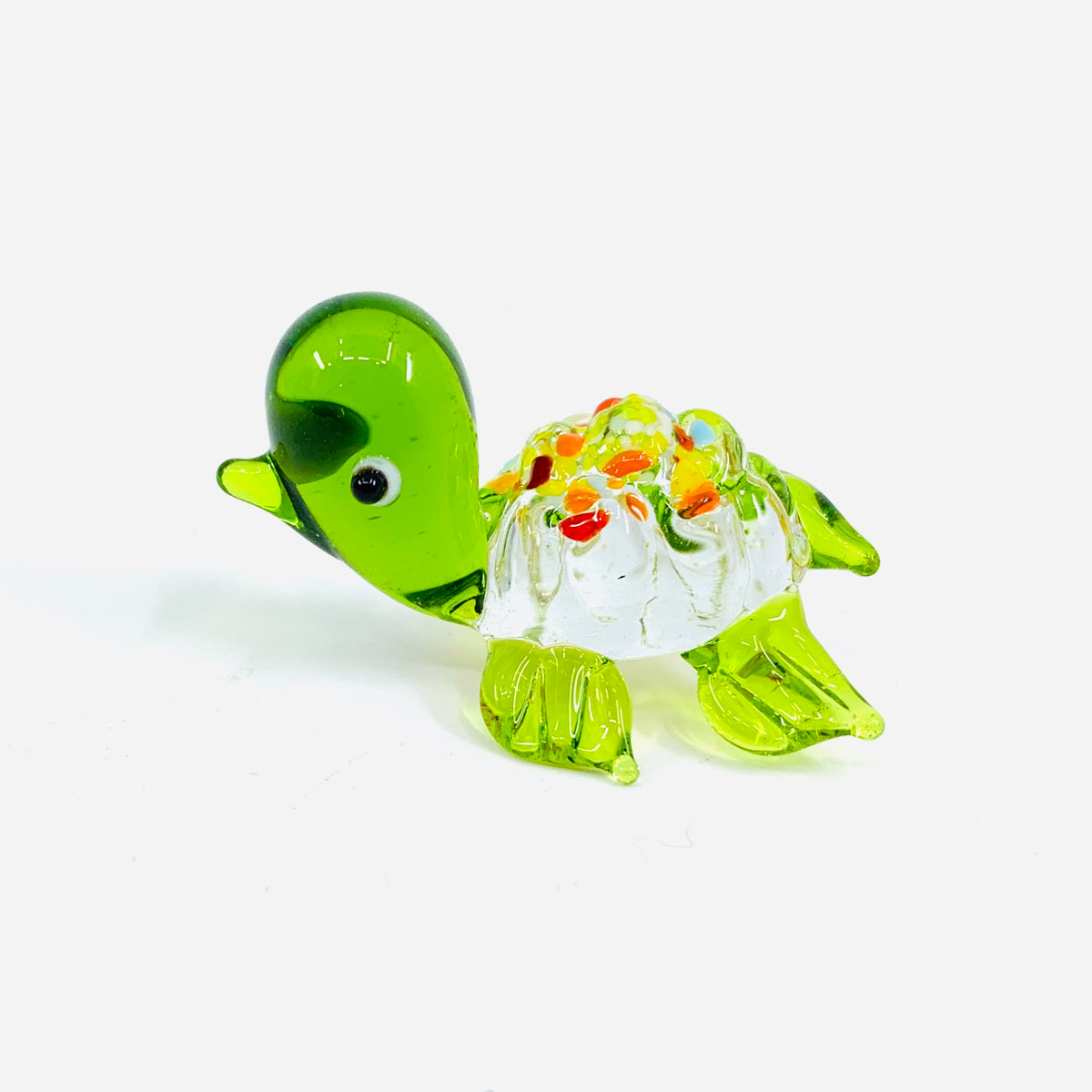 Glass Spotted Turtle